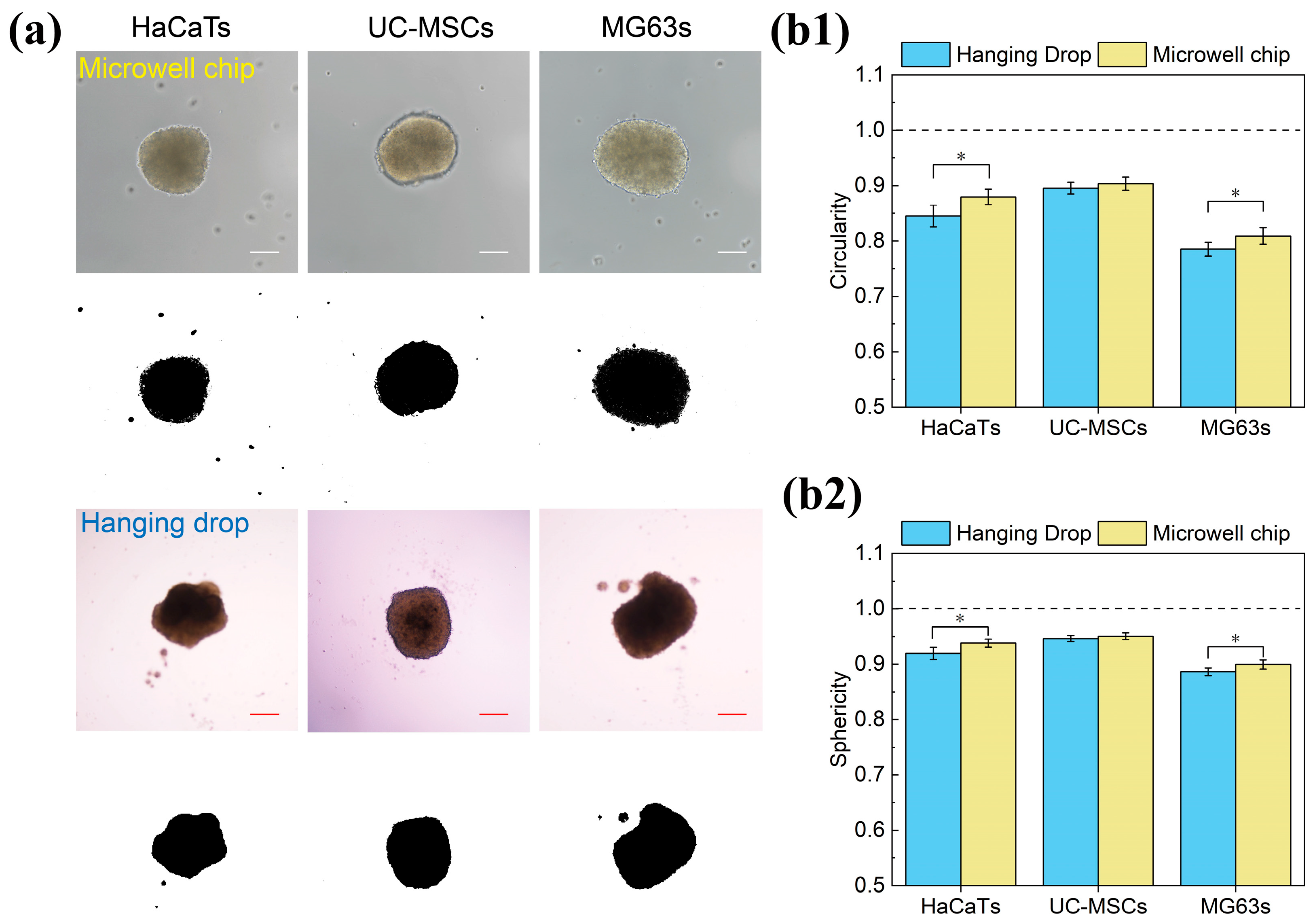 Biosensors 15 00007 g008