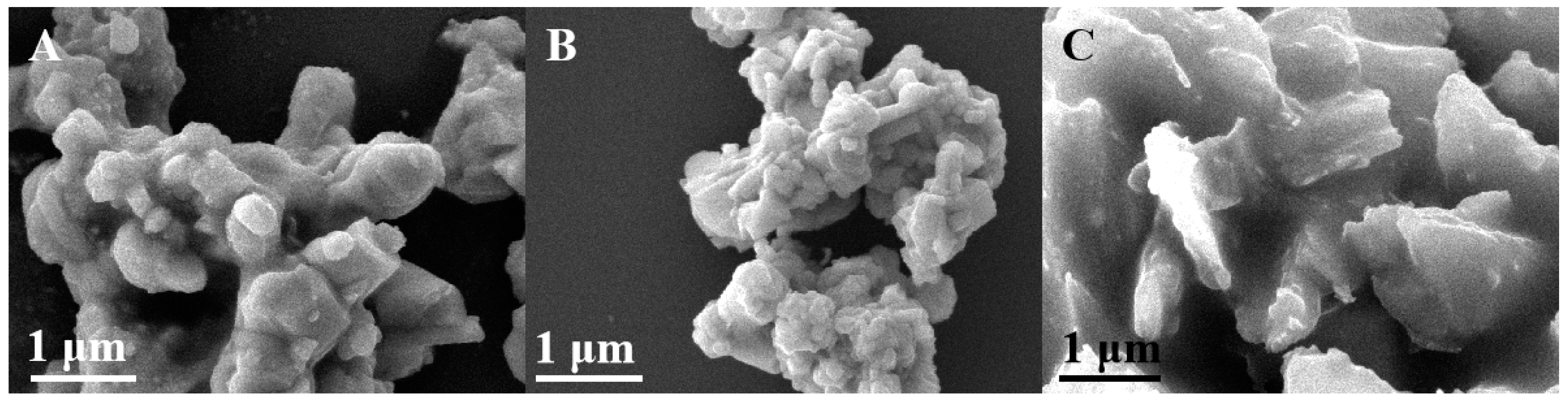 Biosensors 15 00011 g002