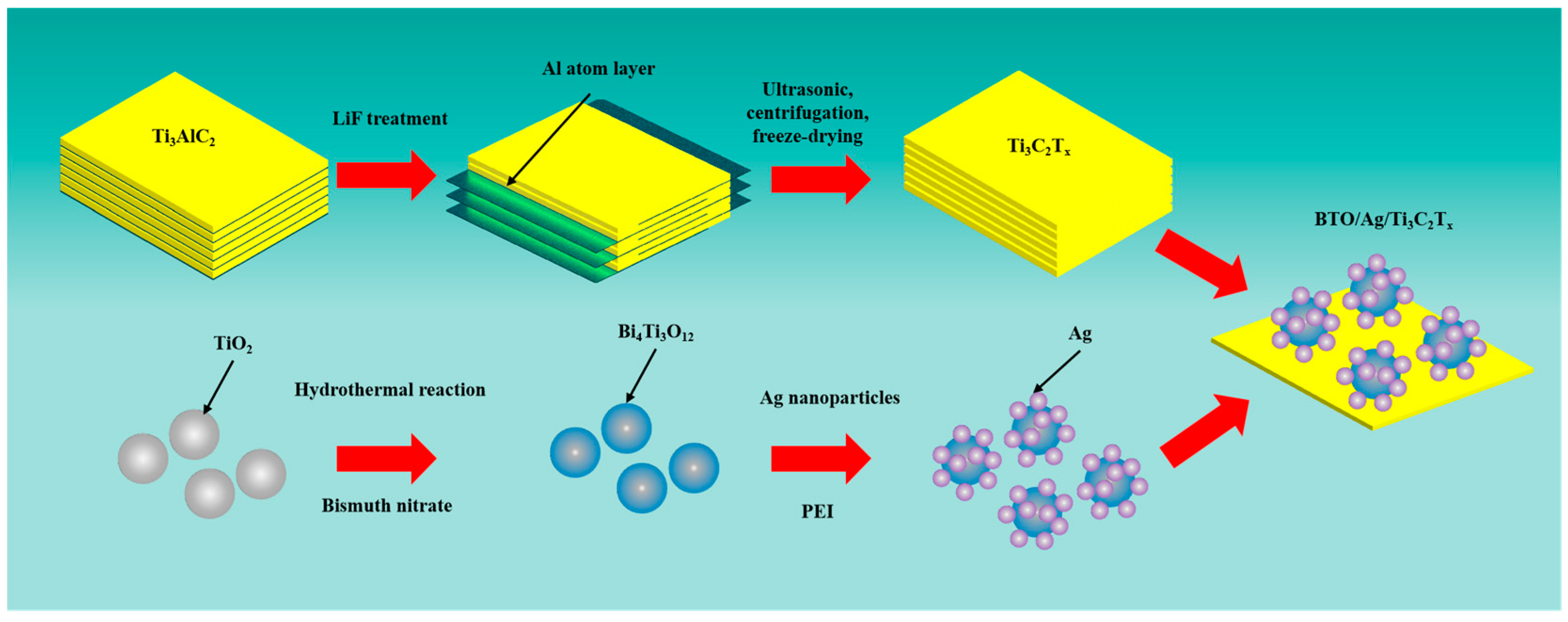 Biosensors 15 00011 sch001
