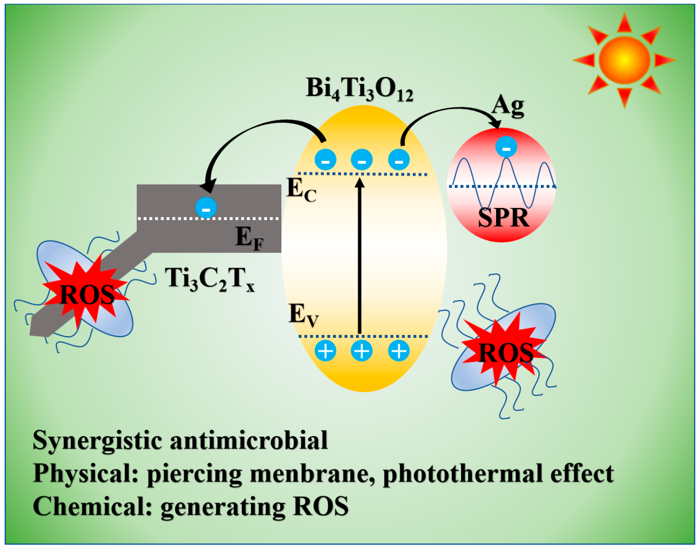Biosensors 15 00011 sch002