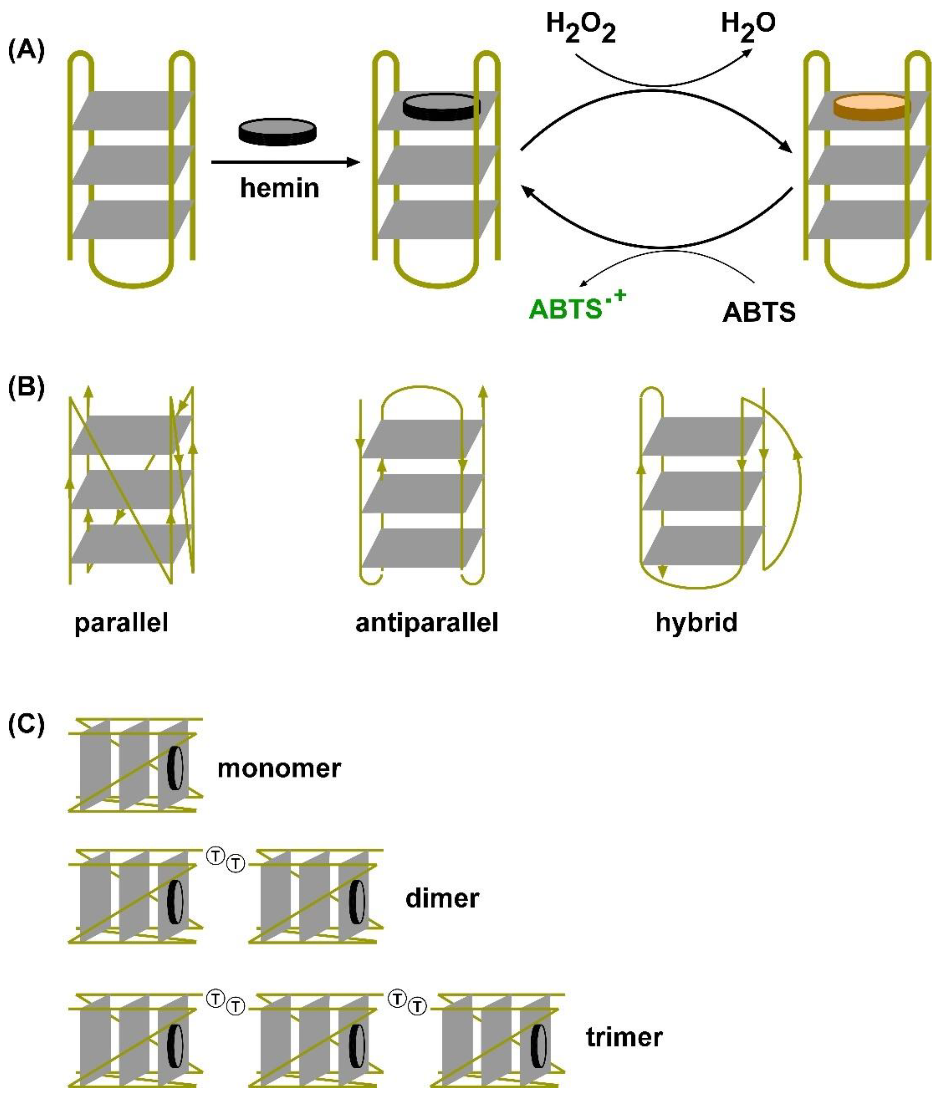 Biosensors 15 00012 g001