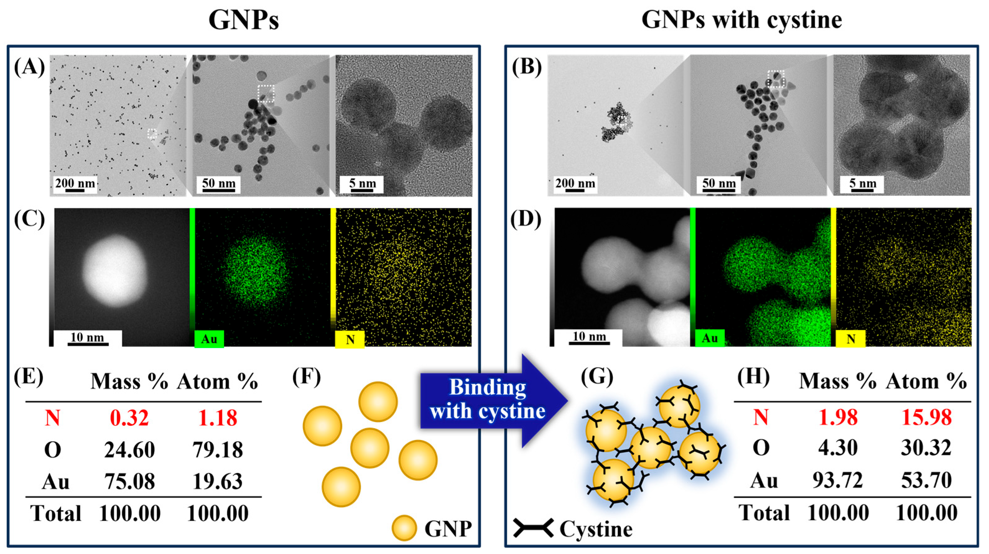 Biosensors 15 00016 g001