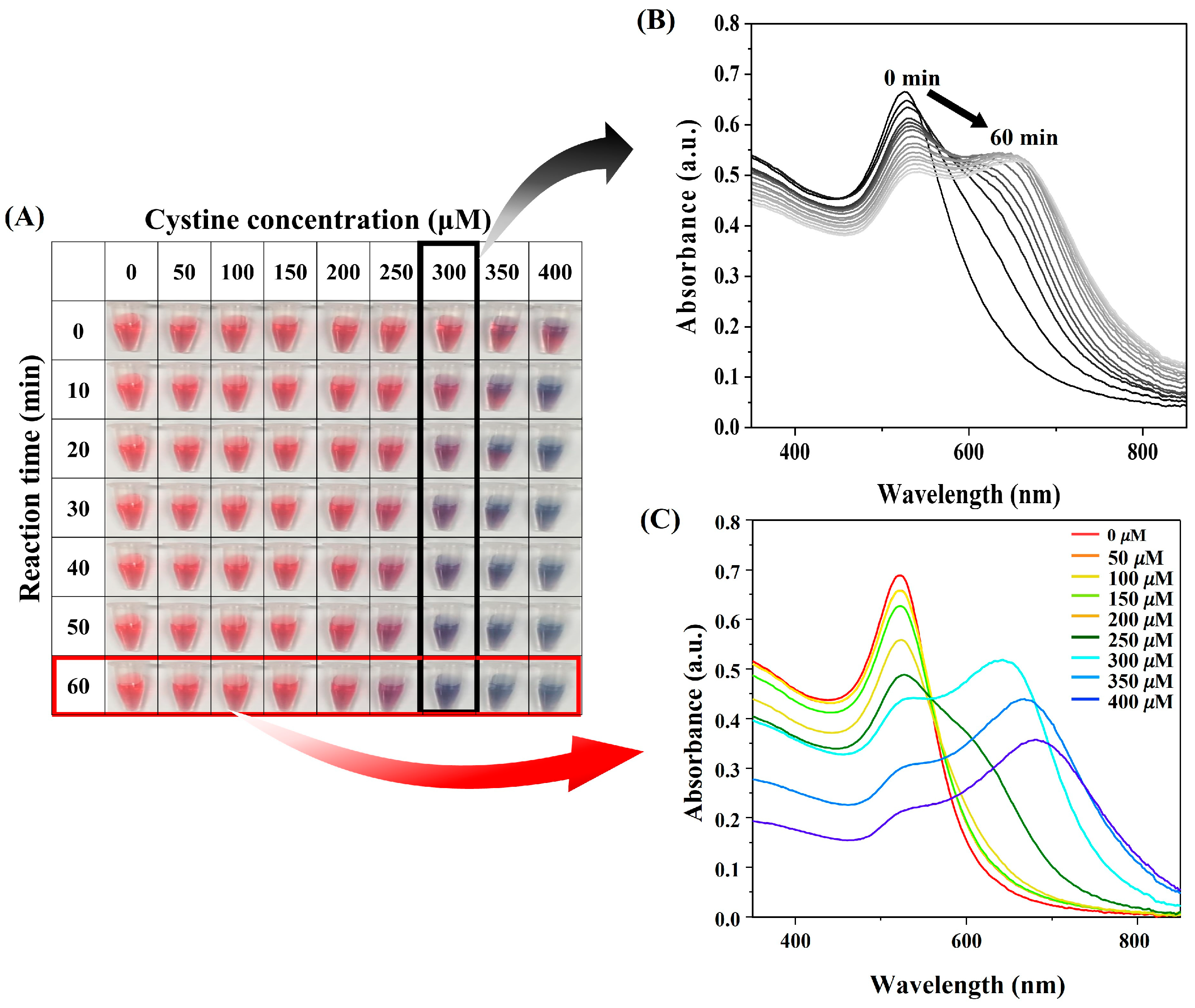 Biosensors 15 00016 g002