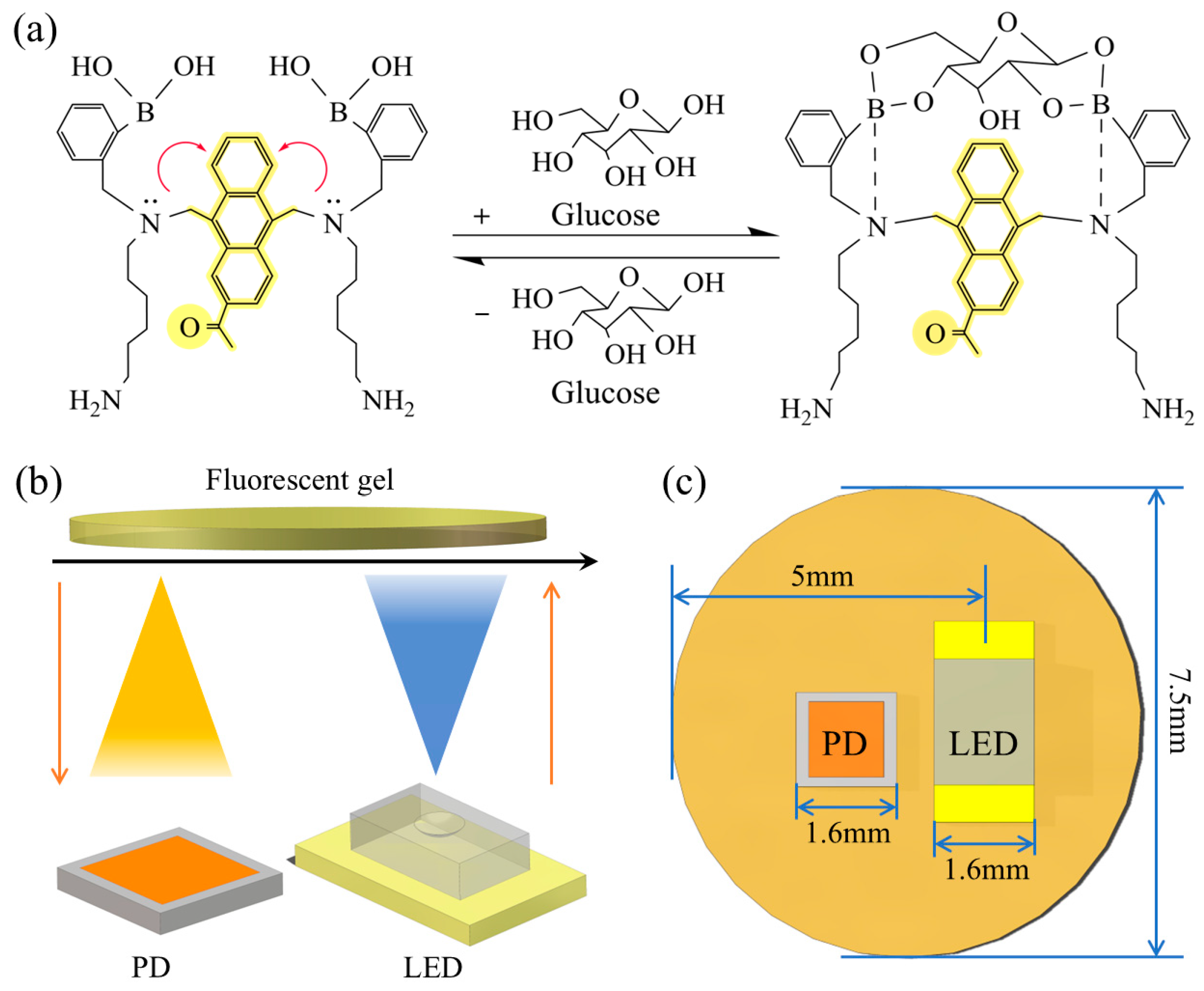 Biosensors 15 00017 g001