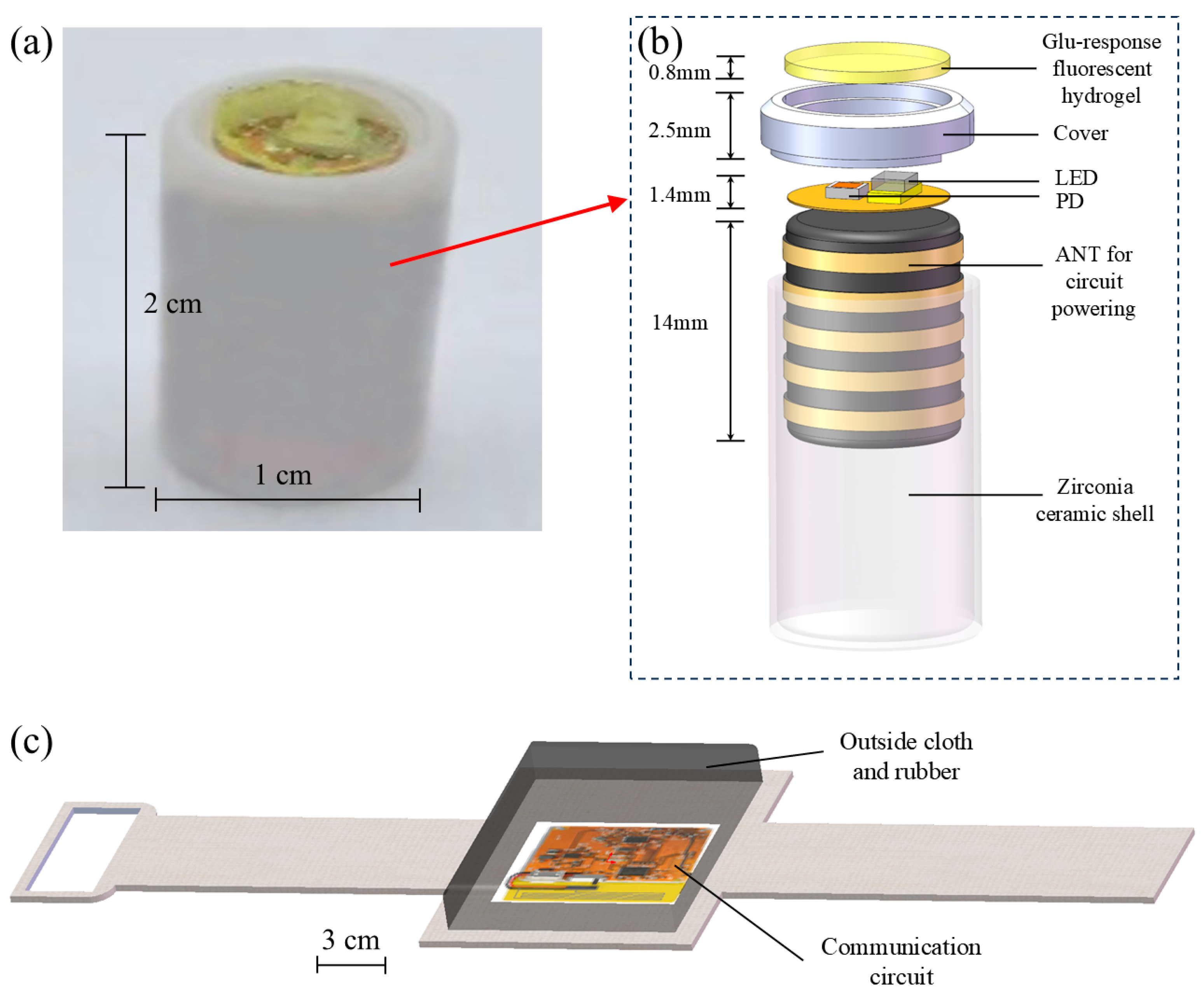 Biosensors 15 00017 g008