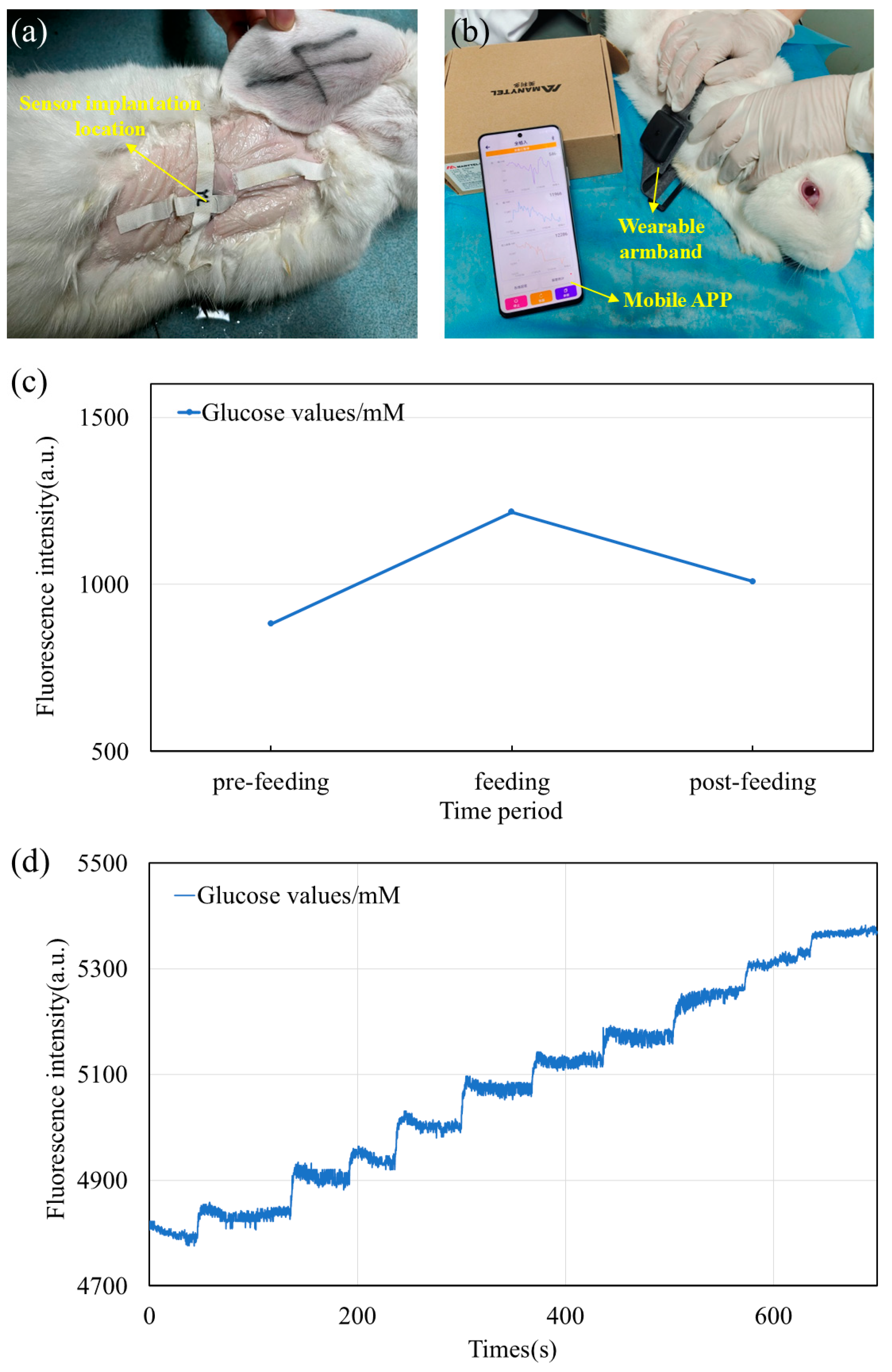 Biosensors 15 00017 g009
