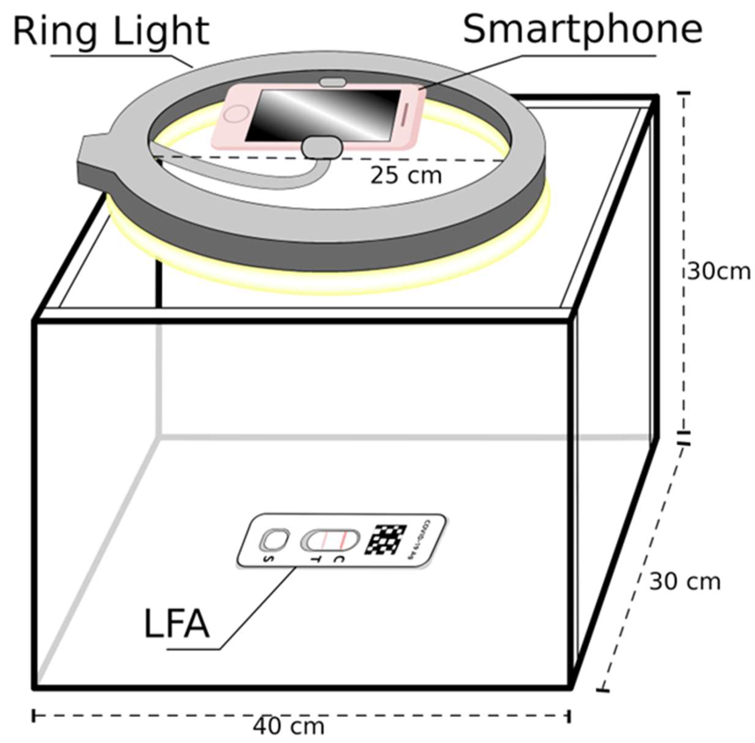 Biosensors 15 00019 g001
