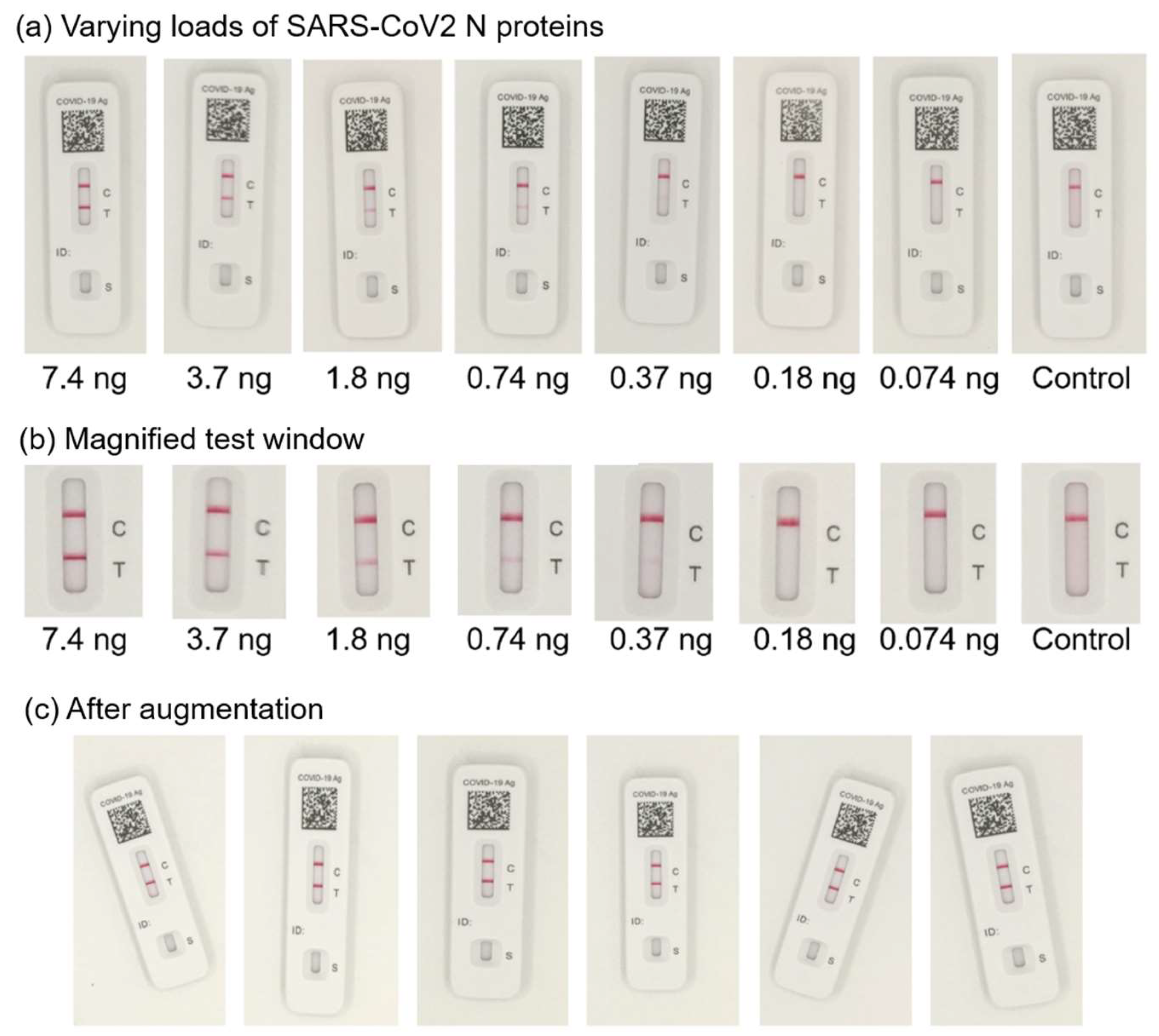 Biosensors 15 00019 g002