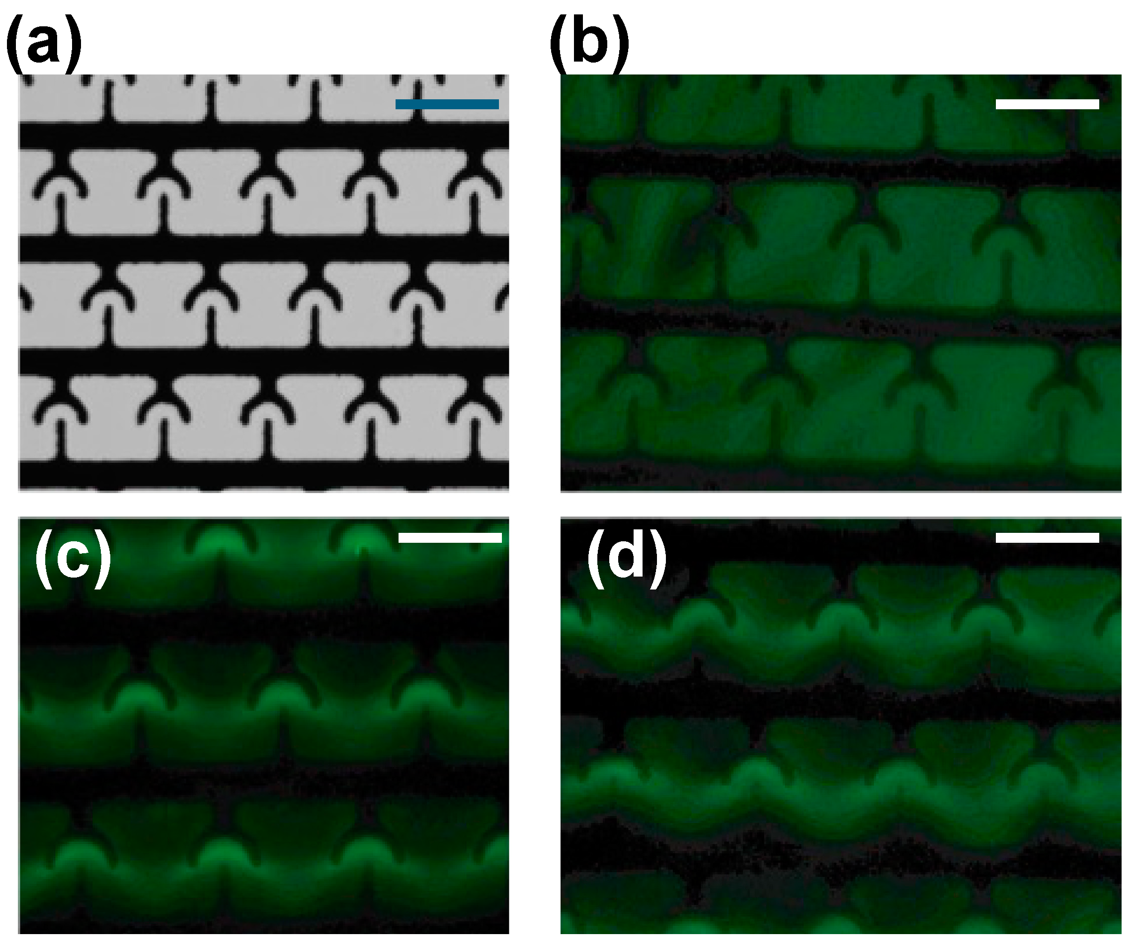 Biosensors 15 00022 g004