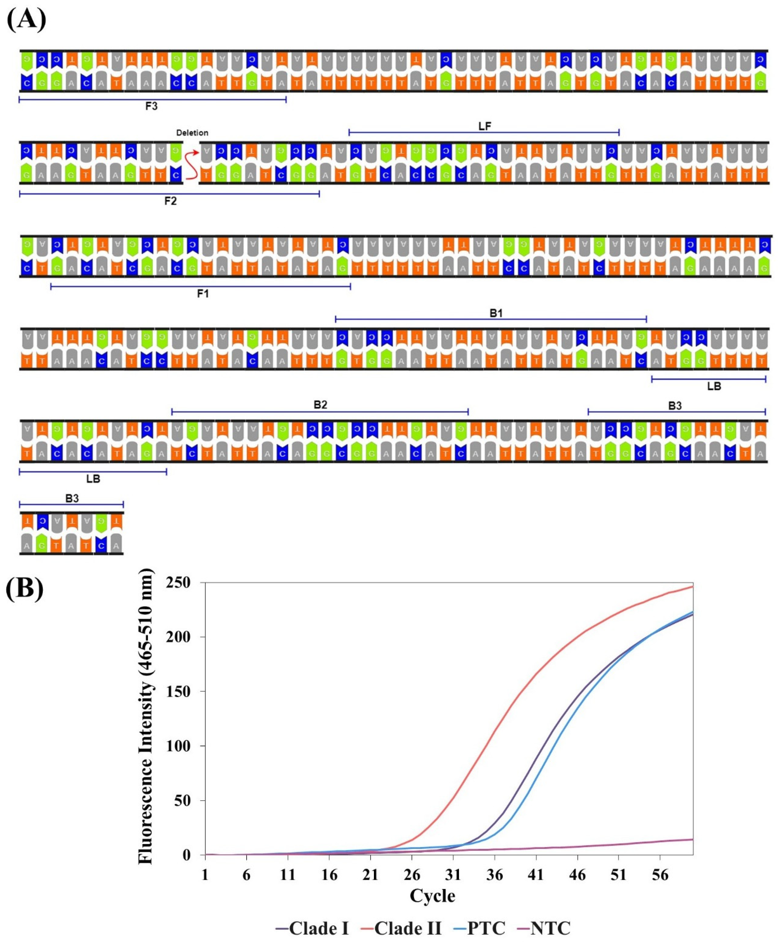 Biosensors 15 00023 g004