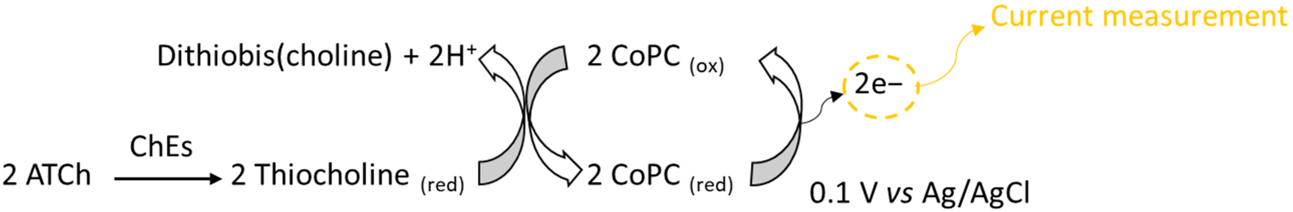Biosensors 15 00026 g001