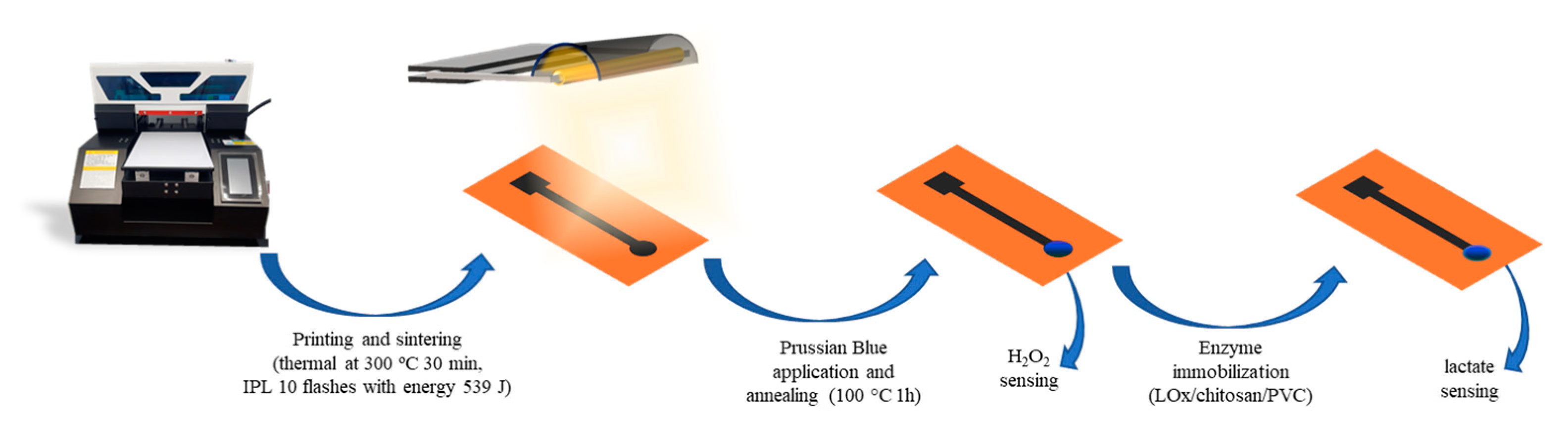 Biosensors 15 00028 g001