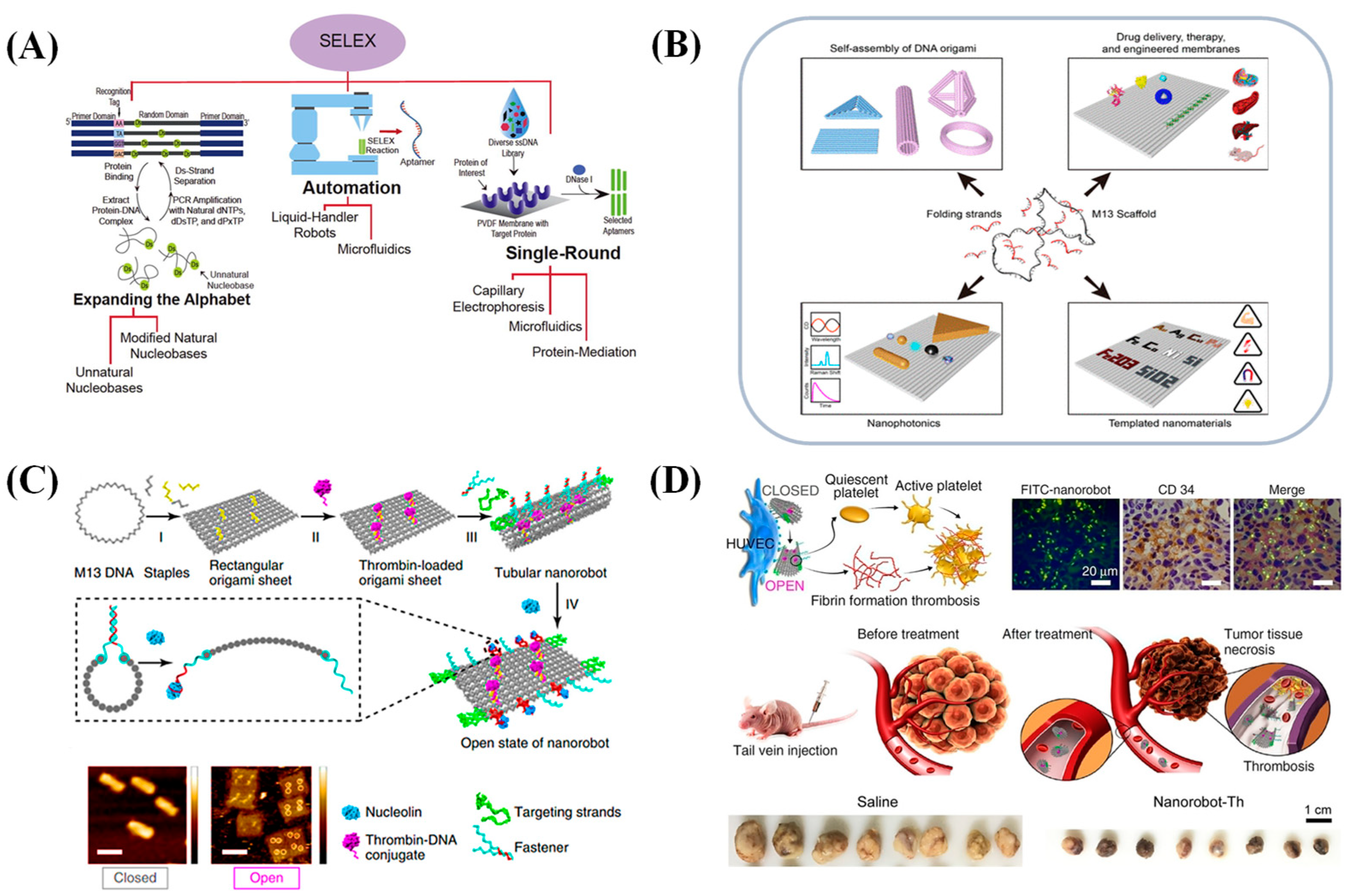 Biosensors 15 00029 g001