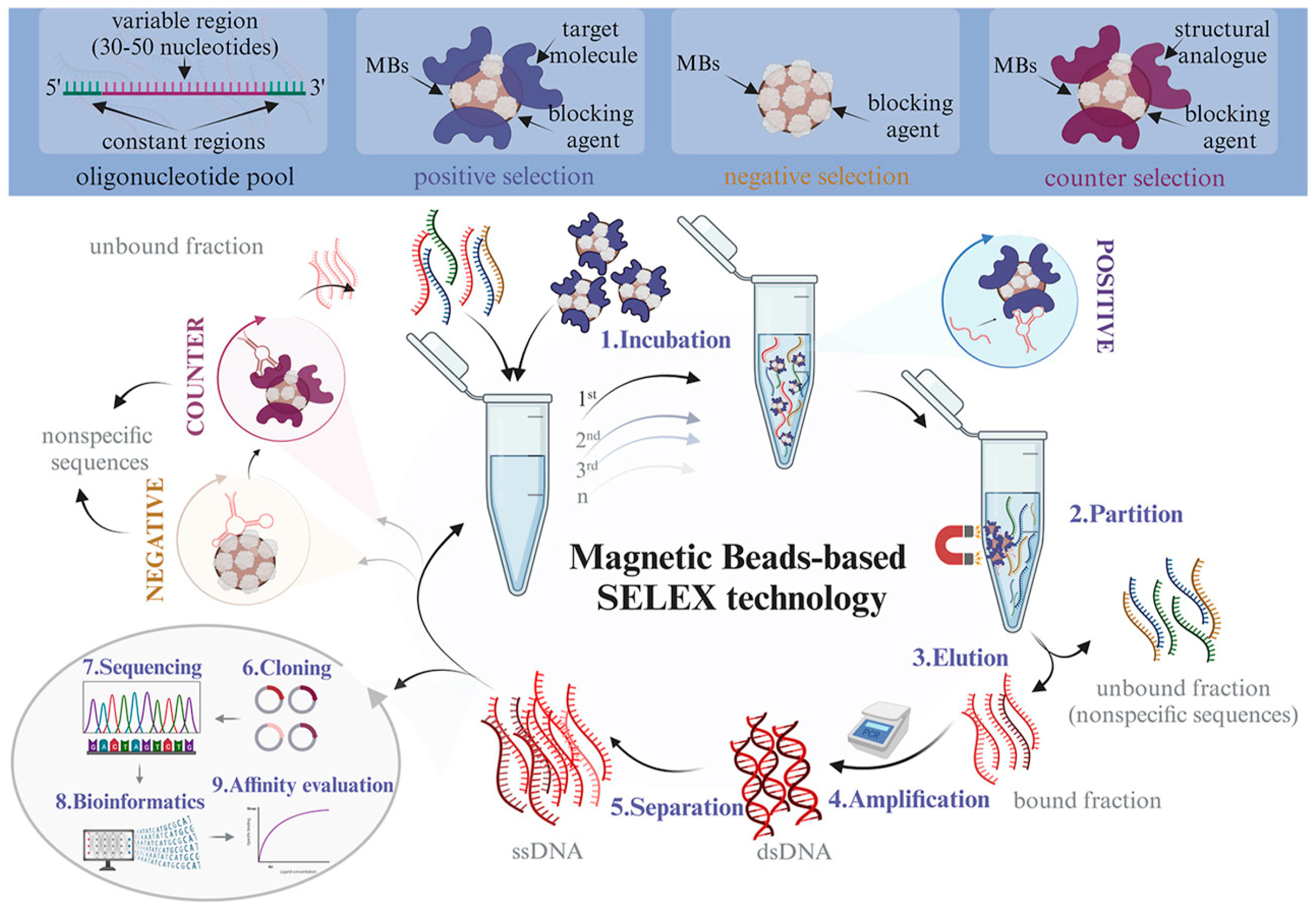 Biosensors 15 00029 g003
