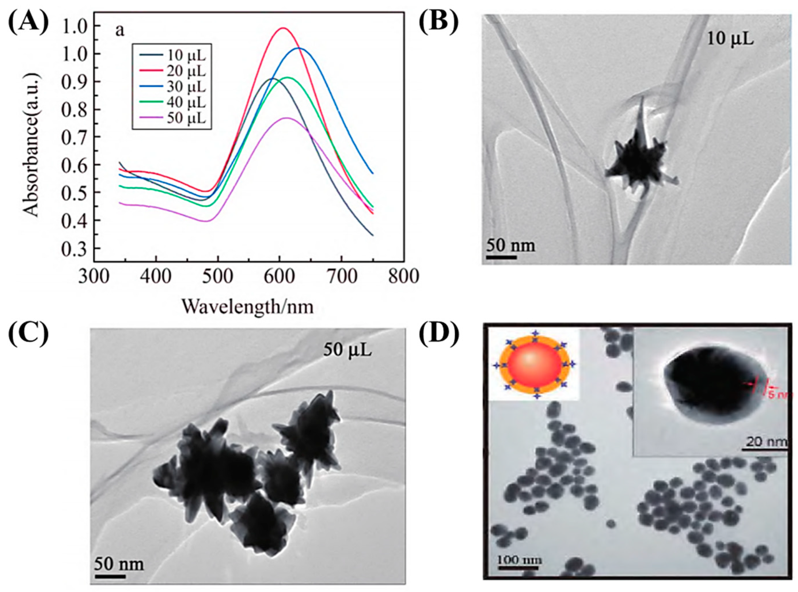 Biosensors 15 00029 g009