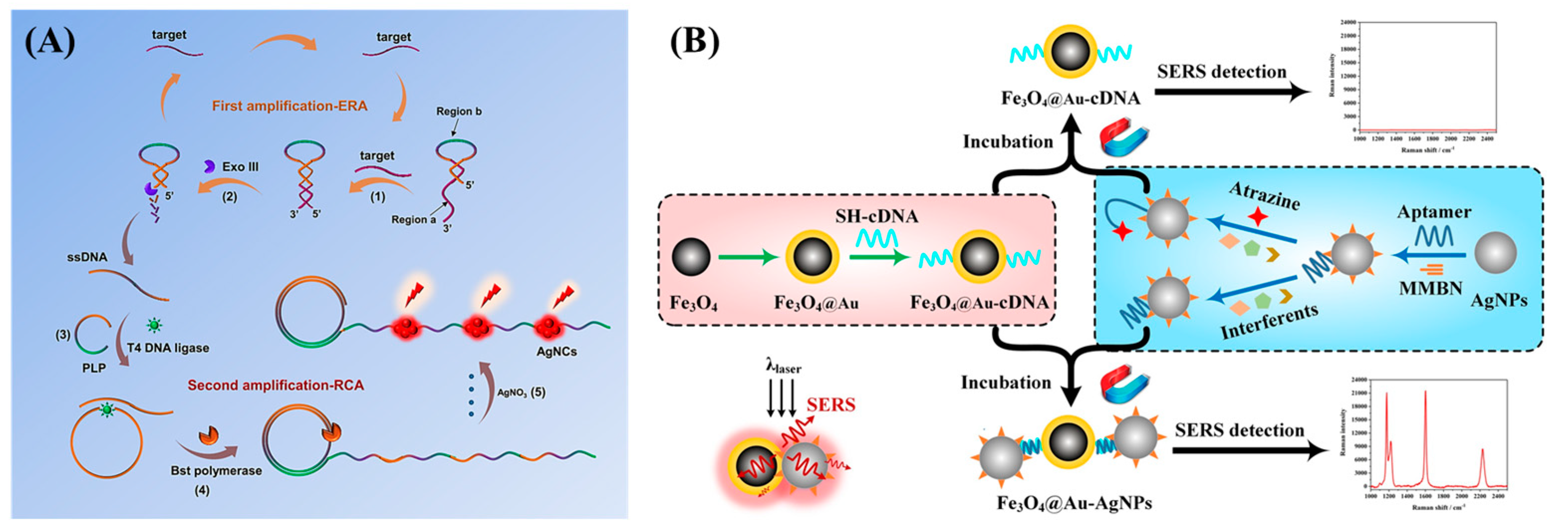 Biosensors 15 00029 g011