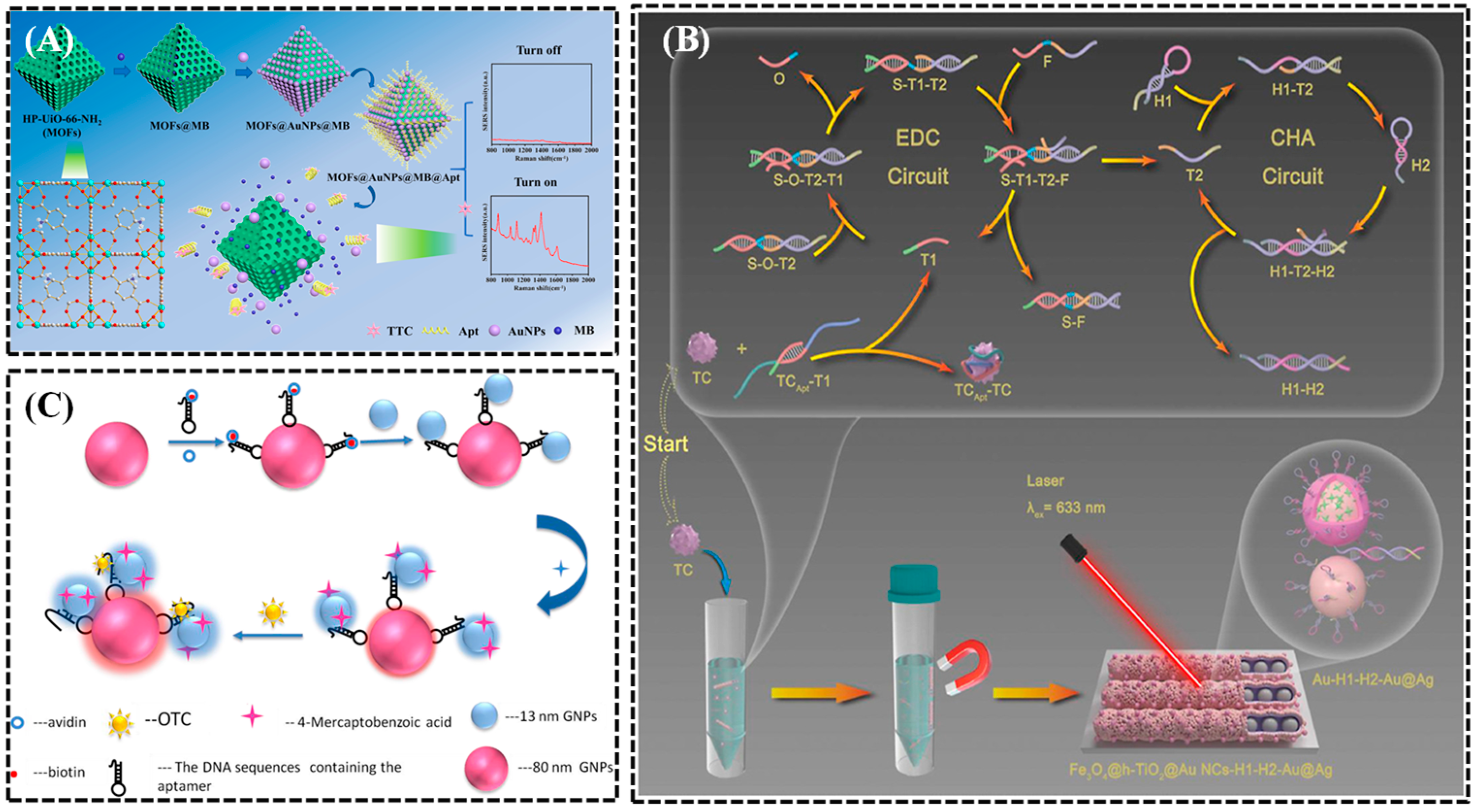 Biosensors 15 00029 g015