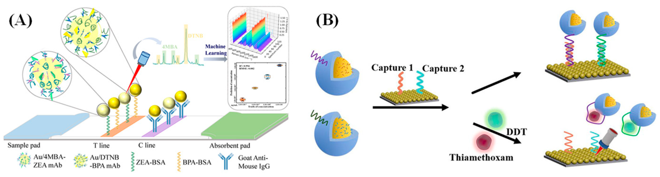 Biosensors 15 00029 g017
