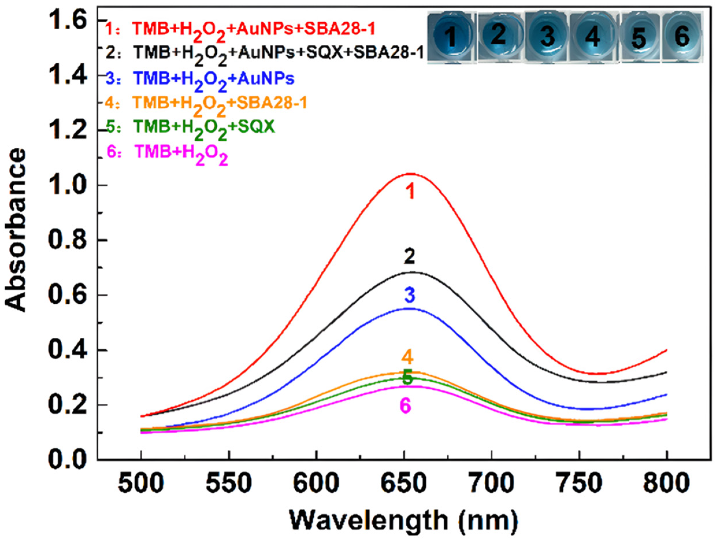 Biosensors 15 00030 g002
