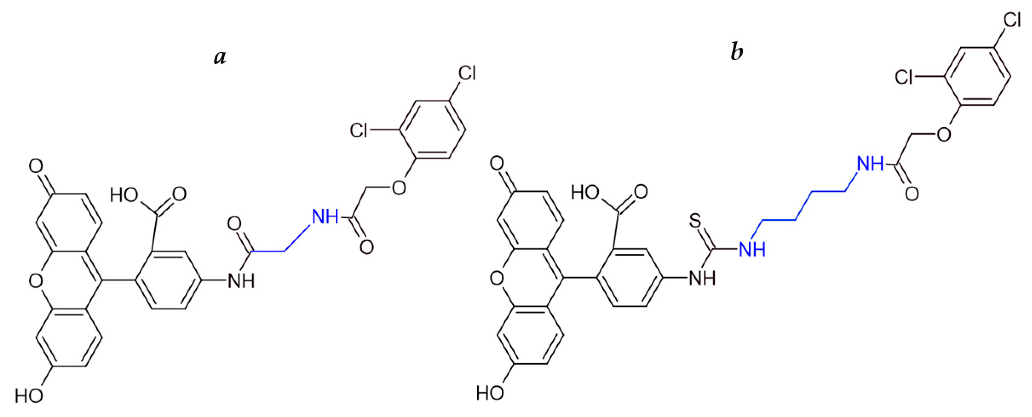 Biosensors 15 00032 g002