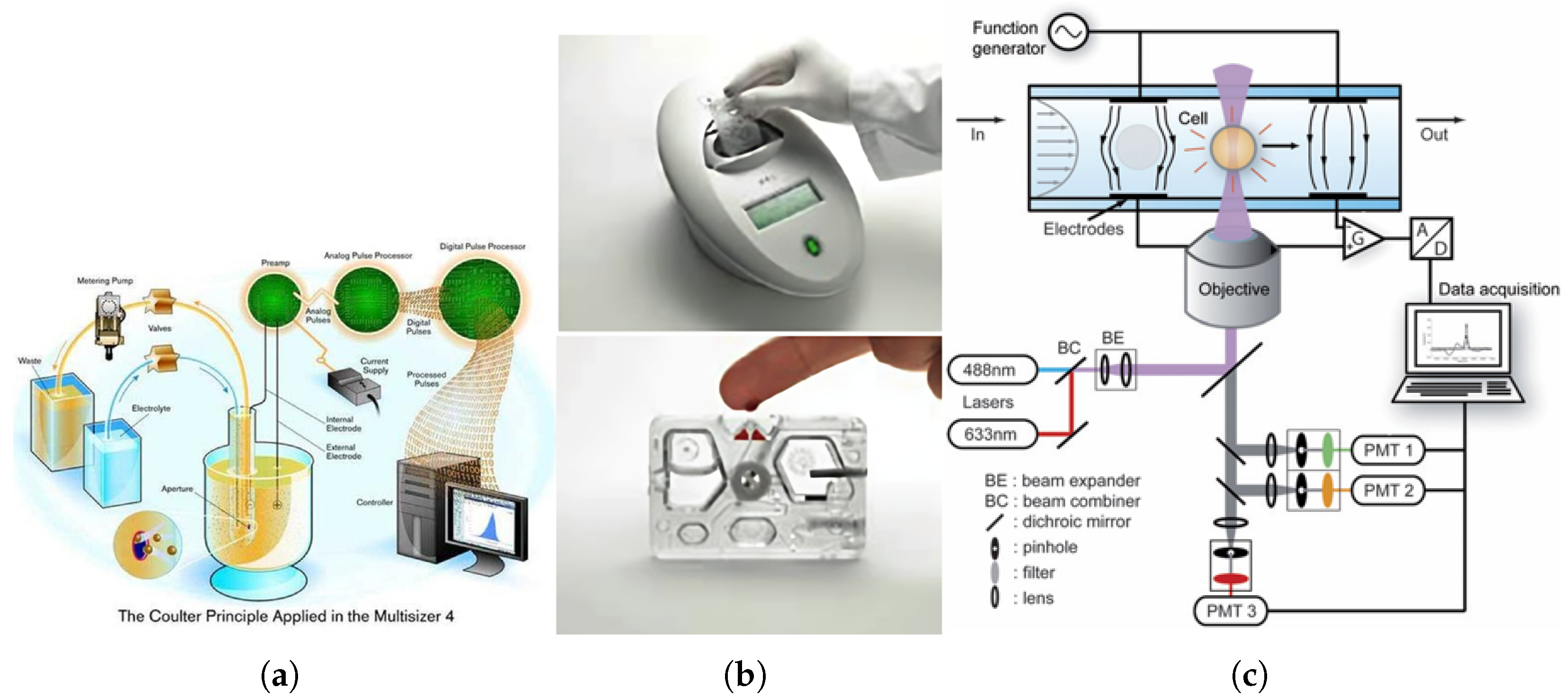 Biosensors 15 00033 g001