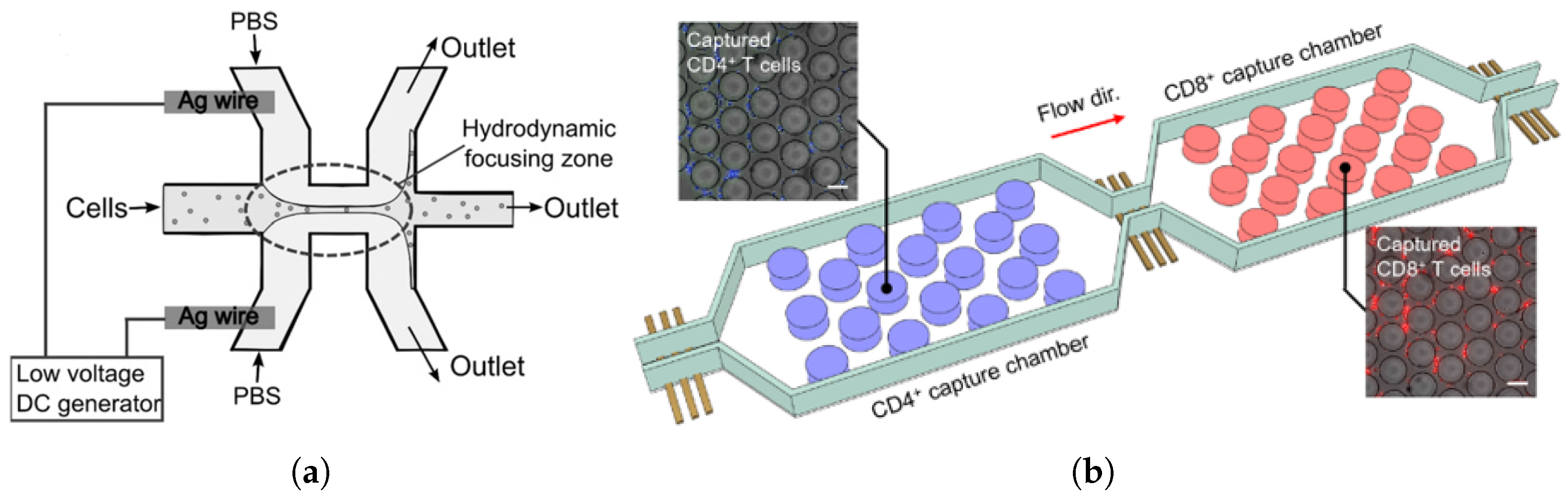 Biosensors 15 00033 g002