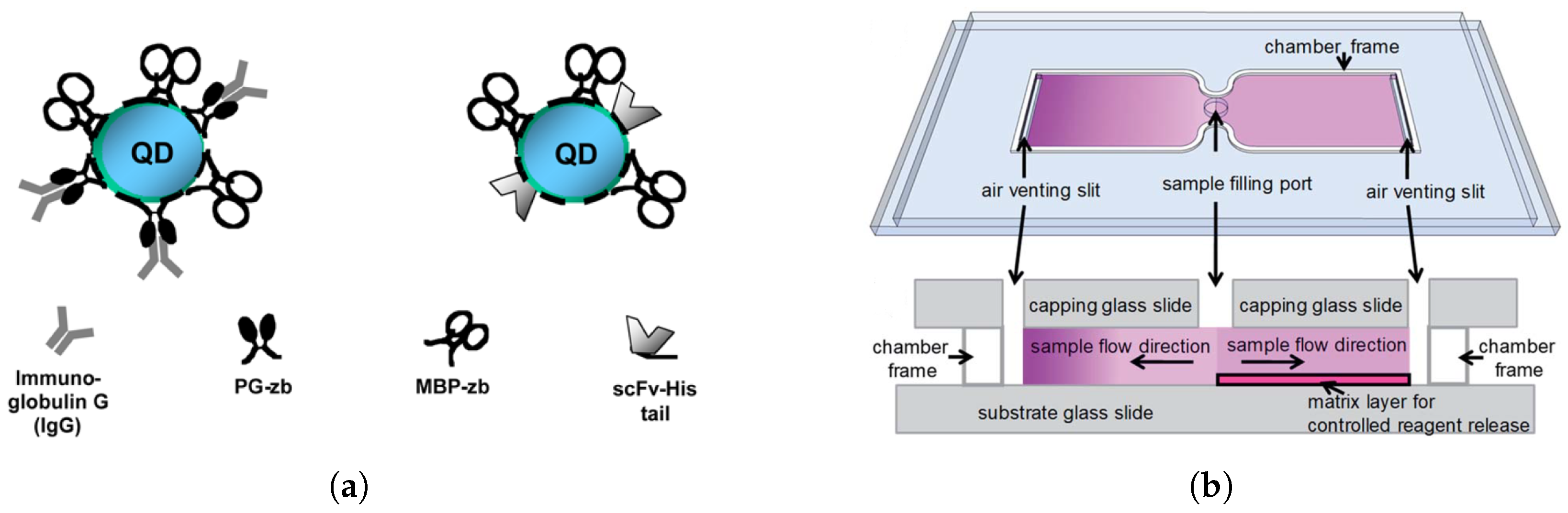 Biosensors 15 00033 g004a