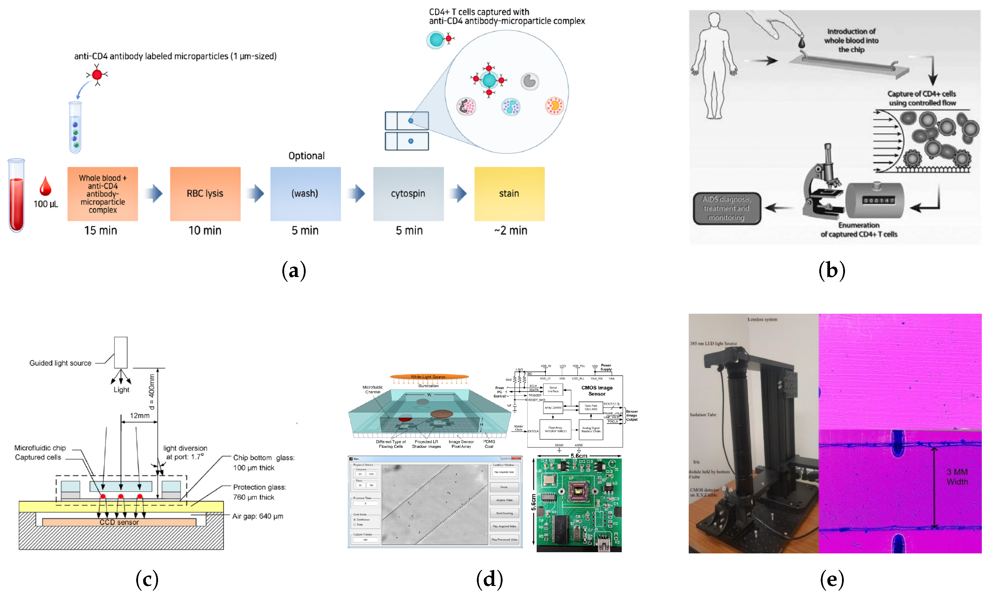 Biosensors 15 00033 g005