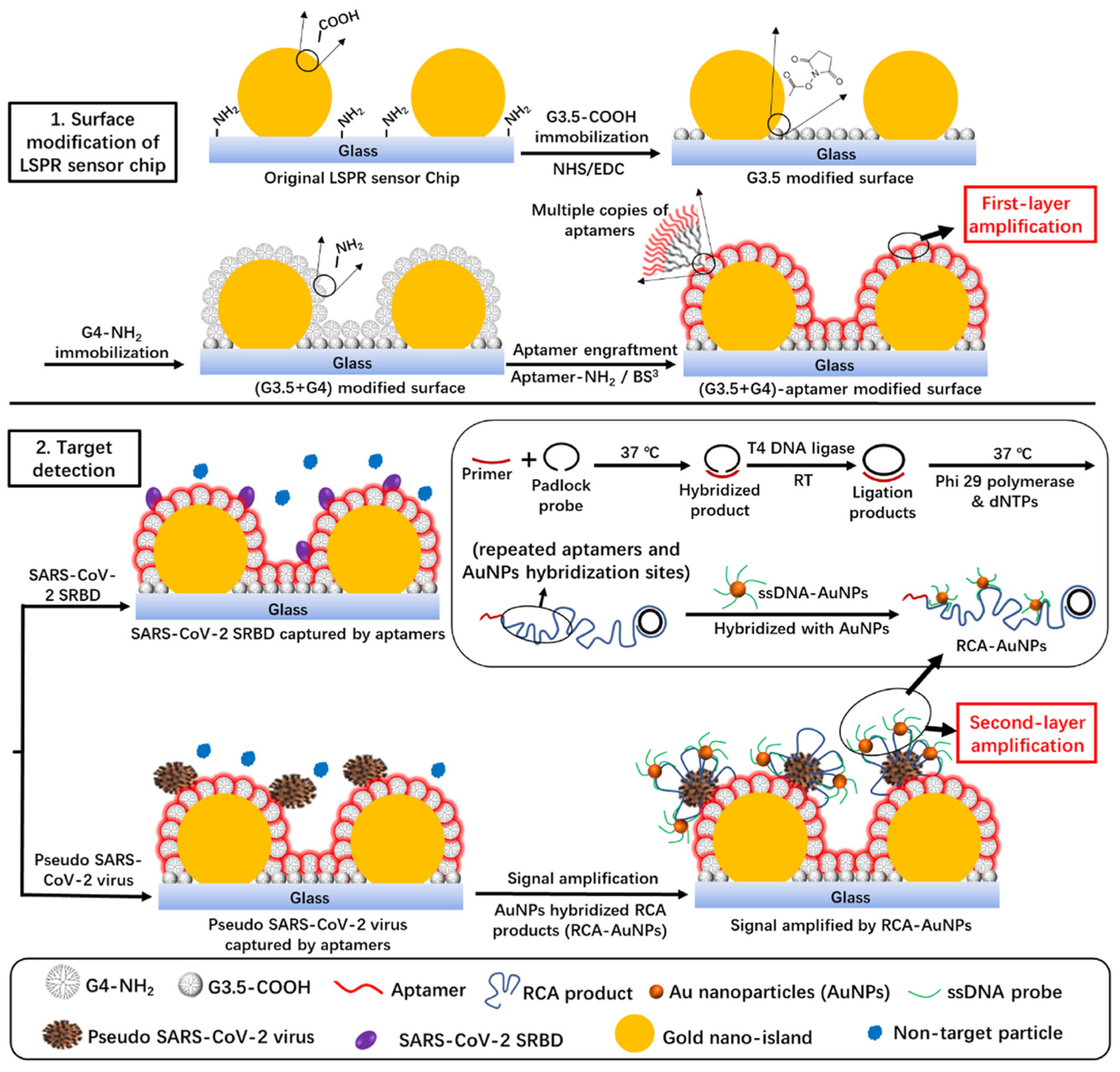 Biosensors 15 00035 g011