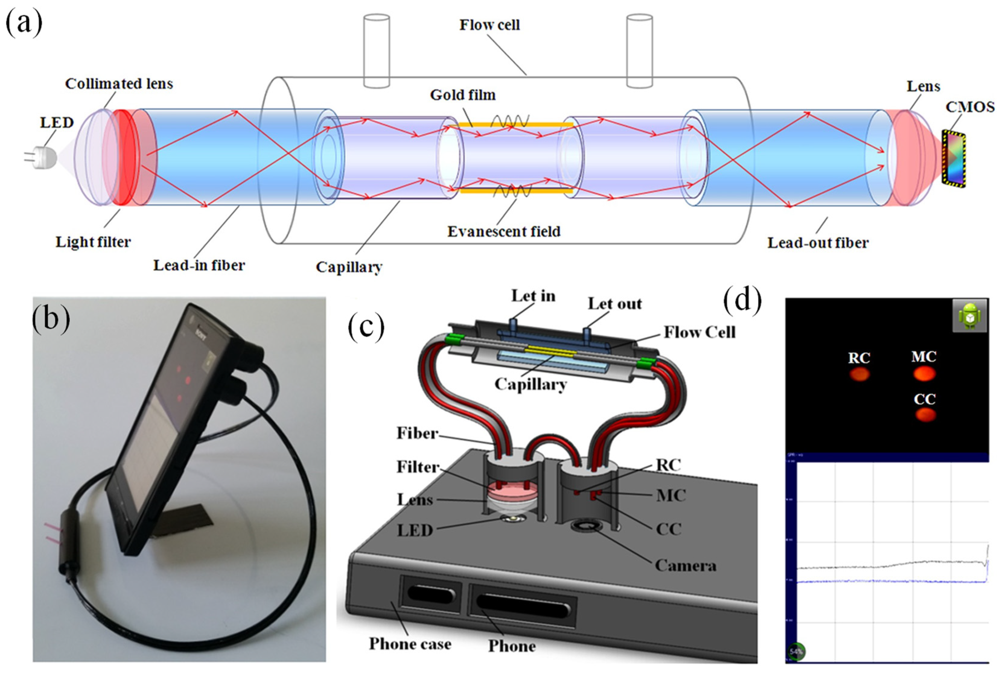 Biosensors 15 00035 g013