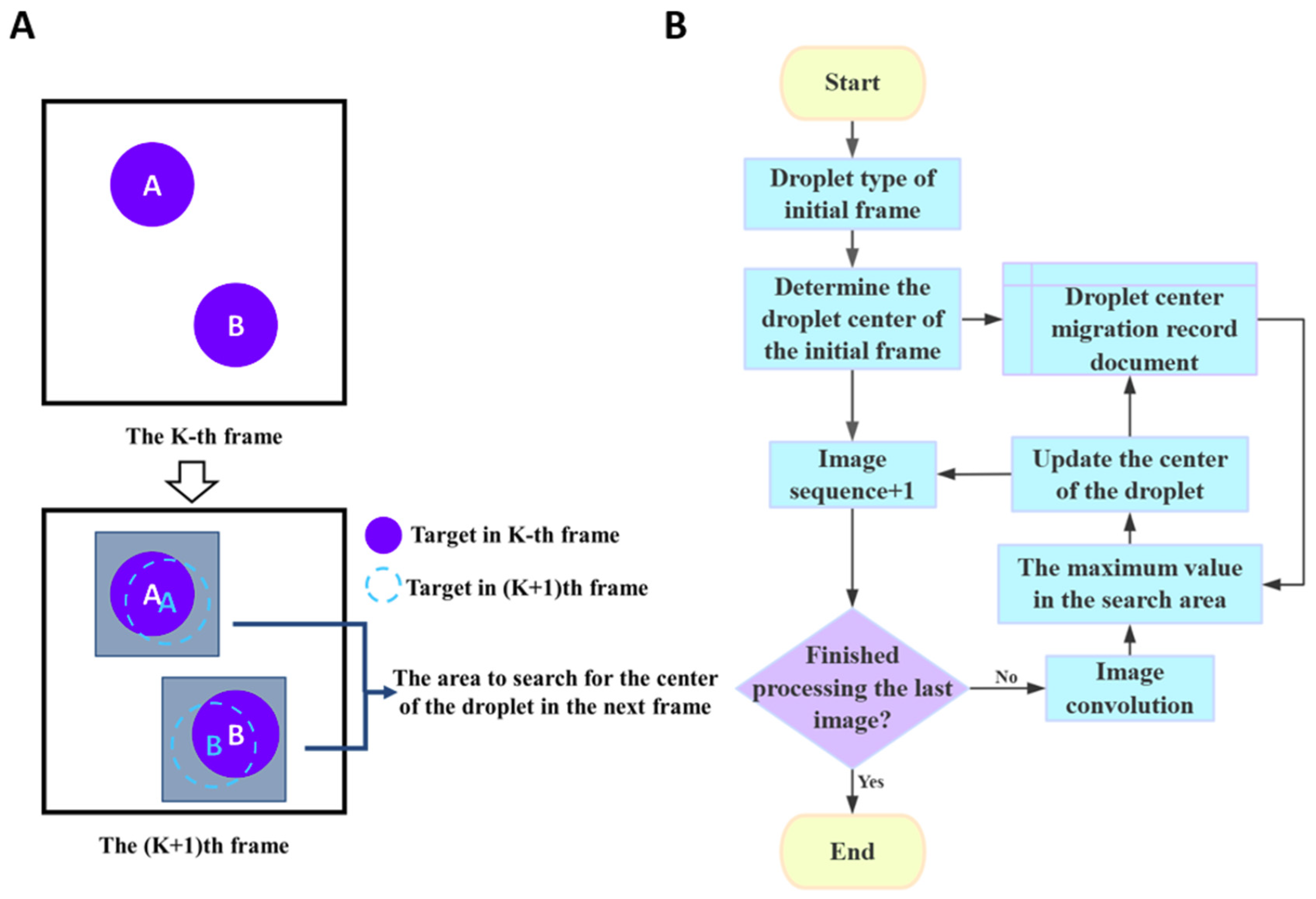 Biosensors 15 00036 g003