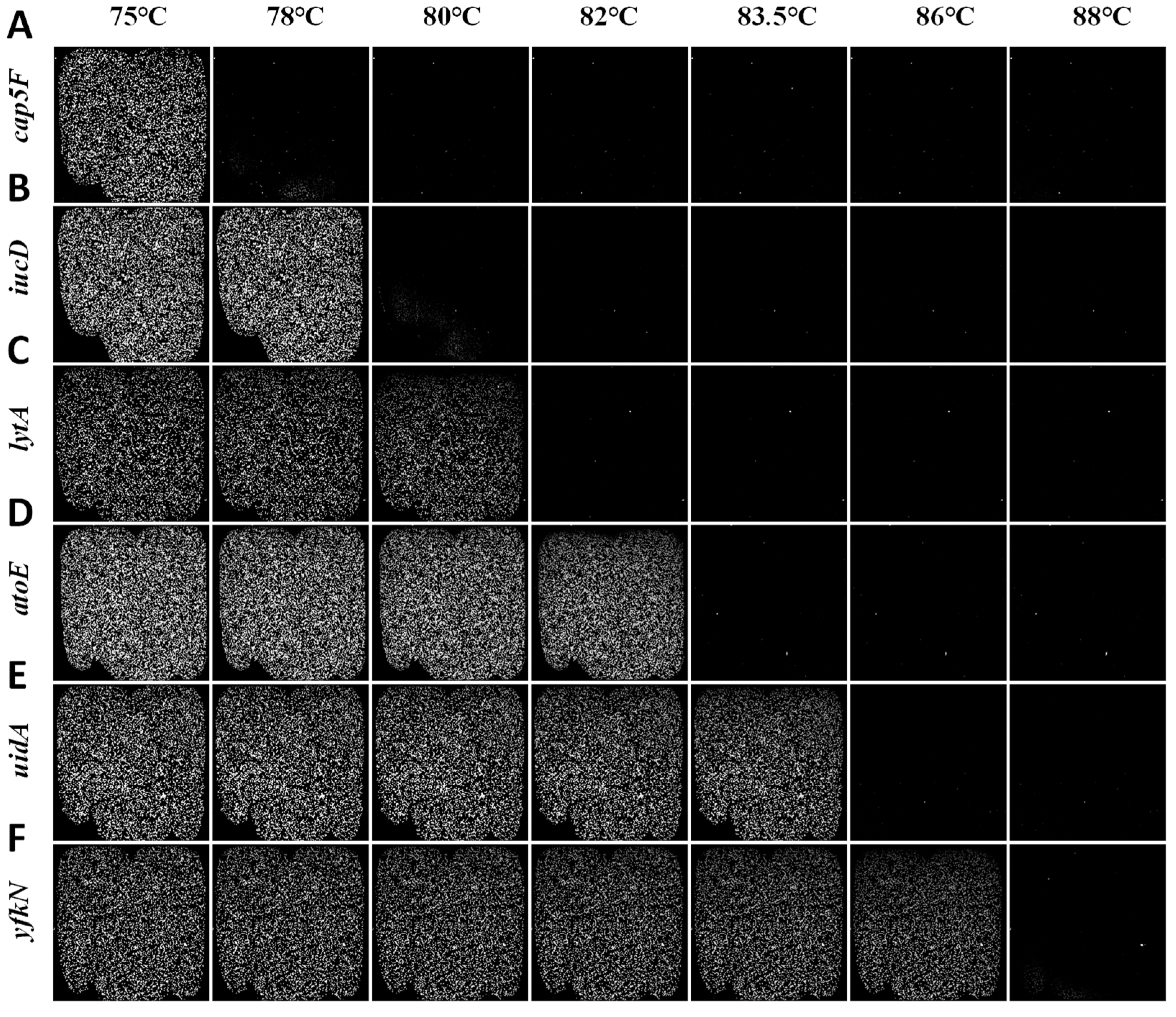 Biosensors 15 00036 g005