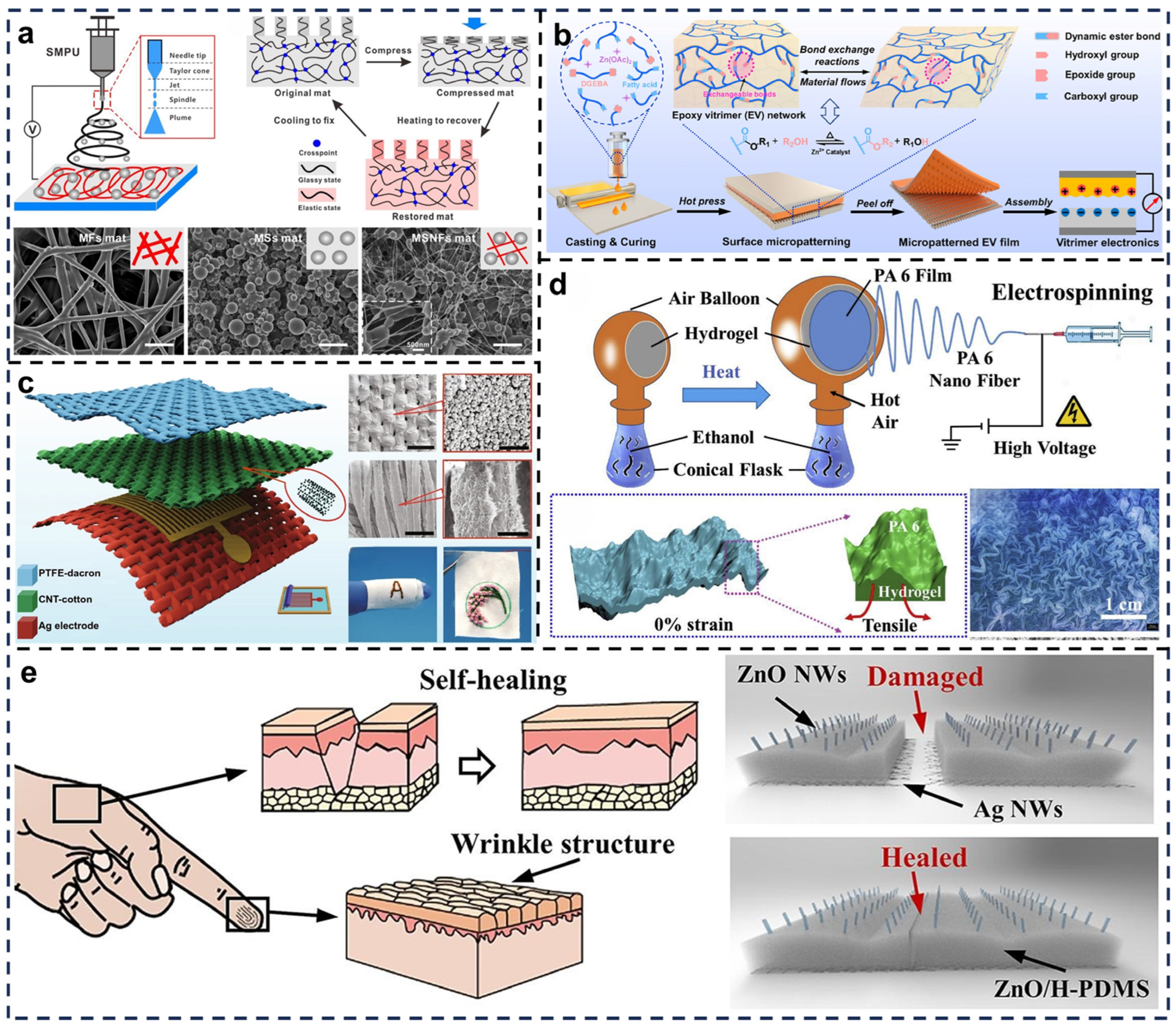 Biosensors 15 00037 g006