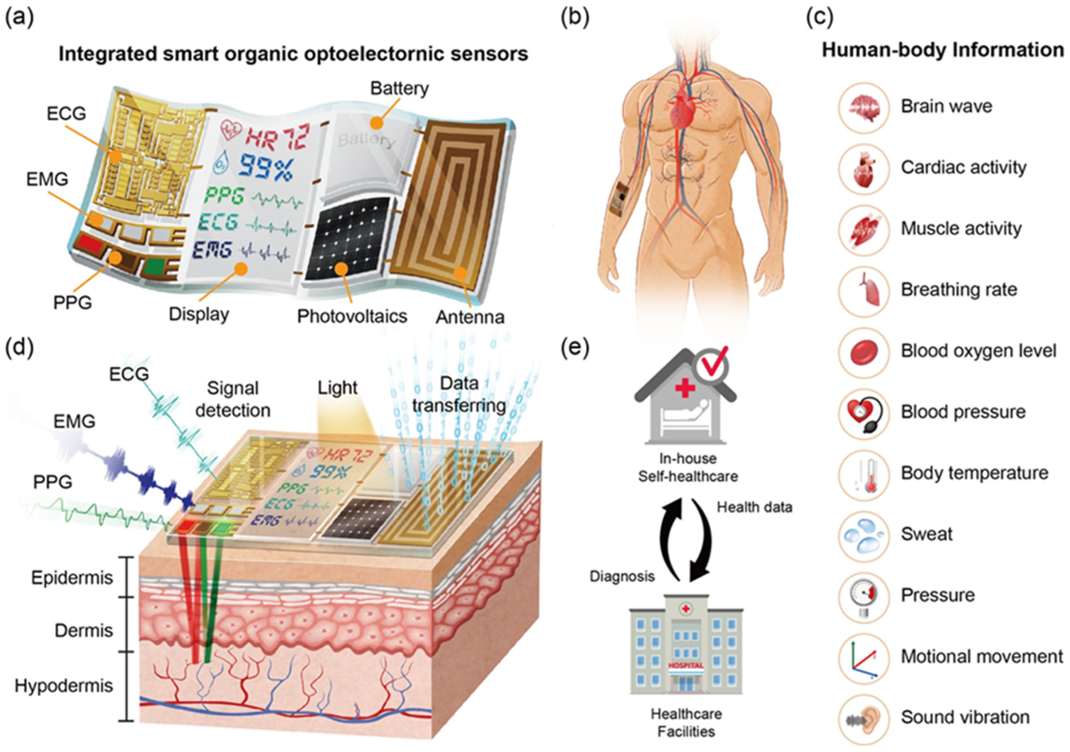 Biosensors 15 00038 g001