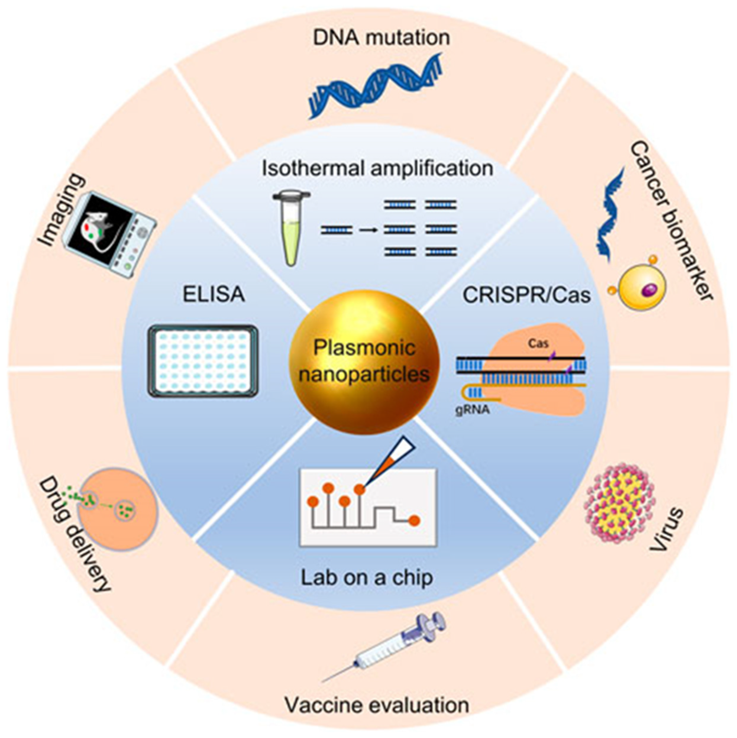 Biosensors 15 00038 g004