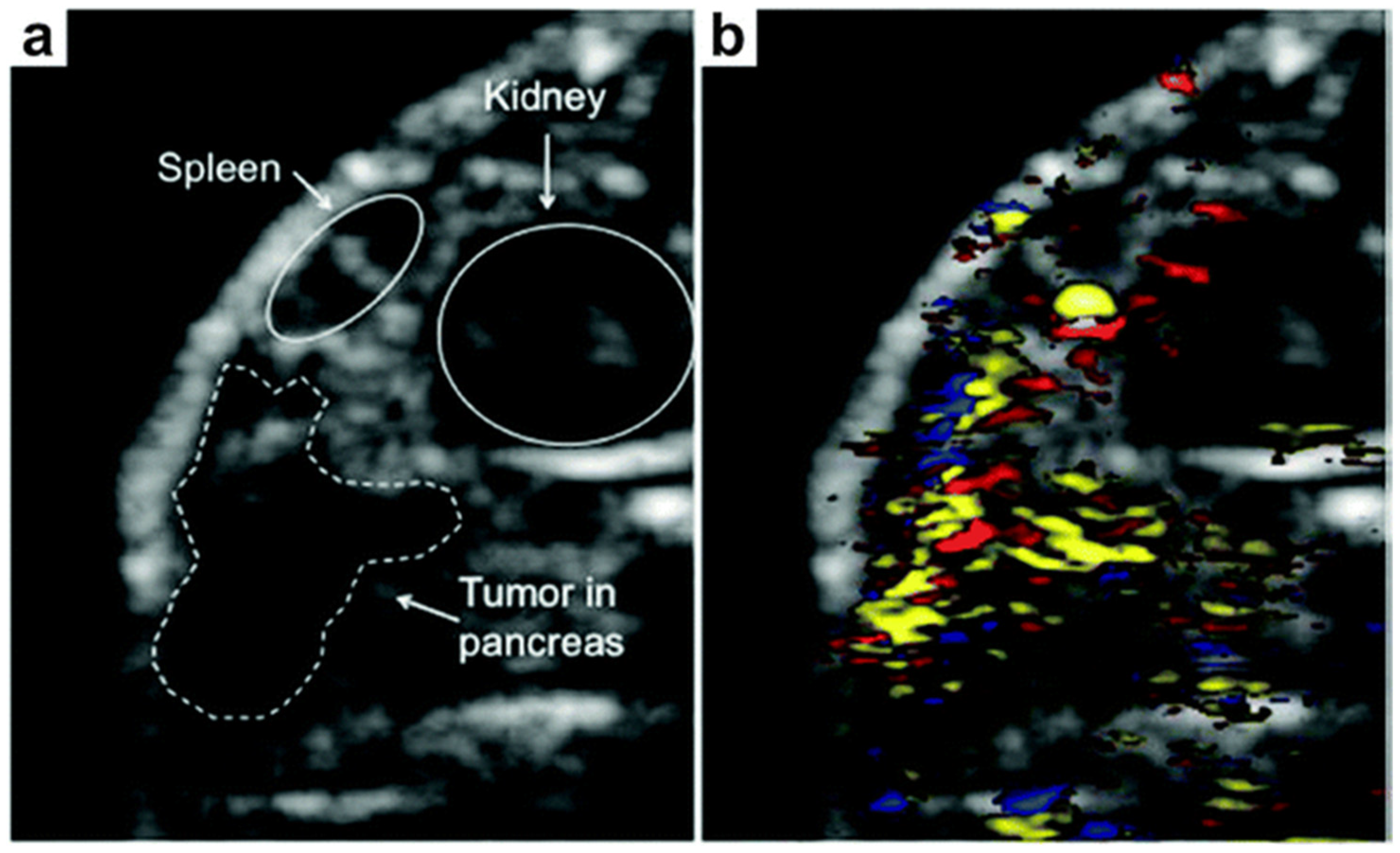 Biosensors 15 00038 g006