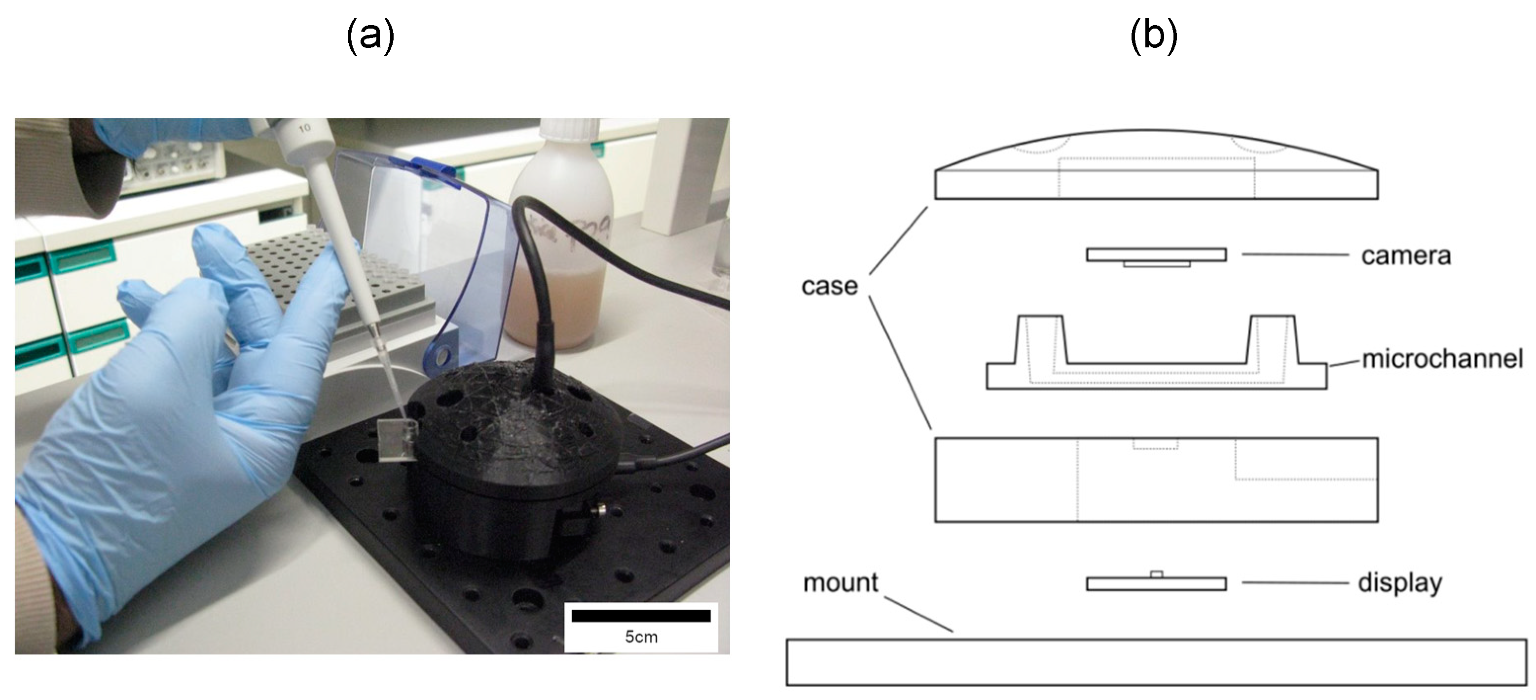 Biosensors 15 00040 g001