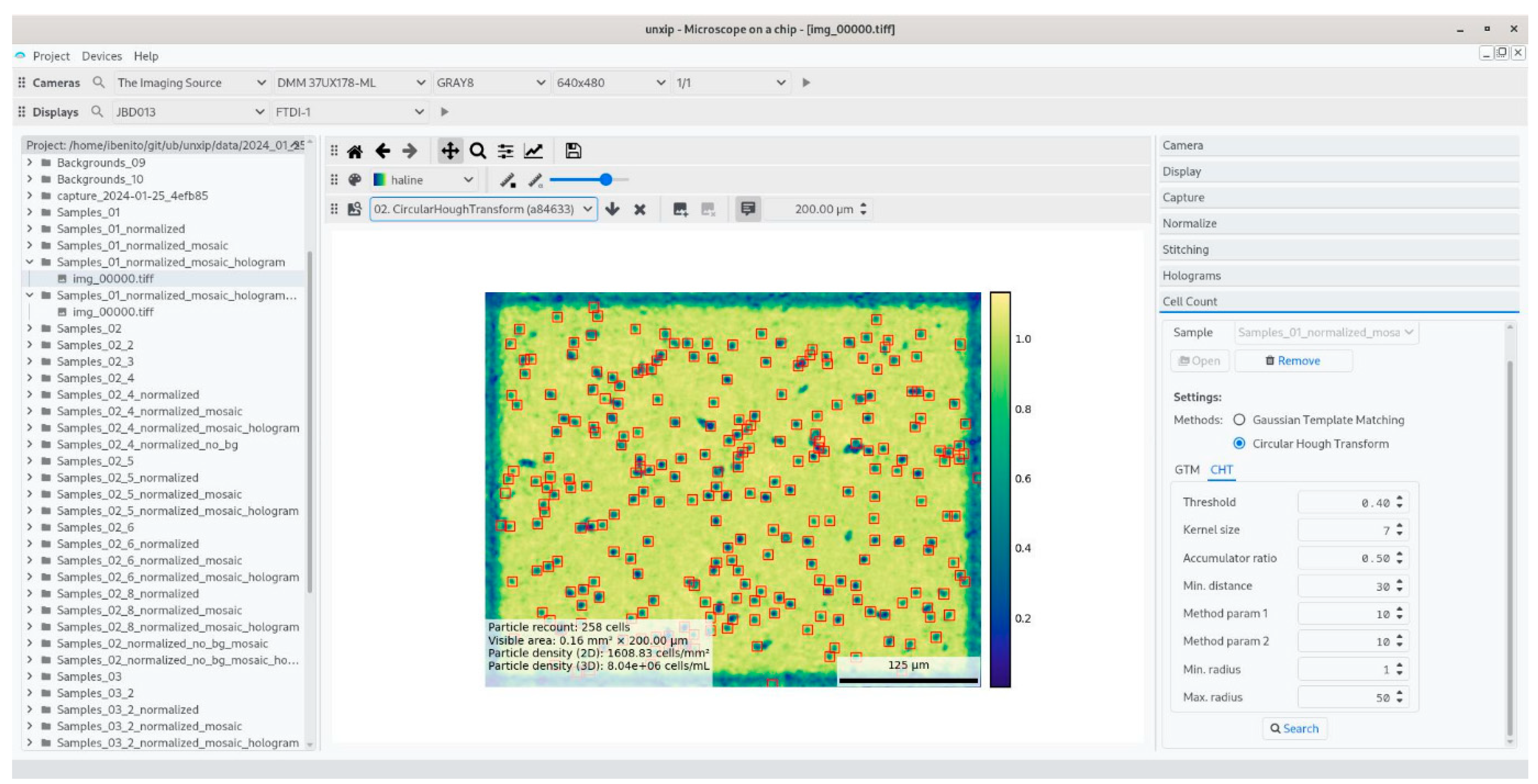 Biosensors 15 00040 g002