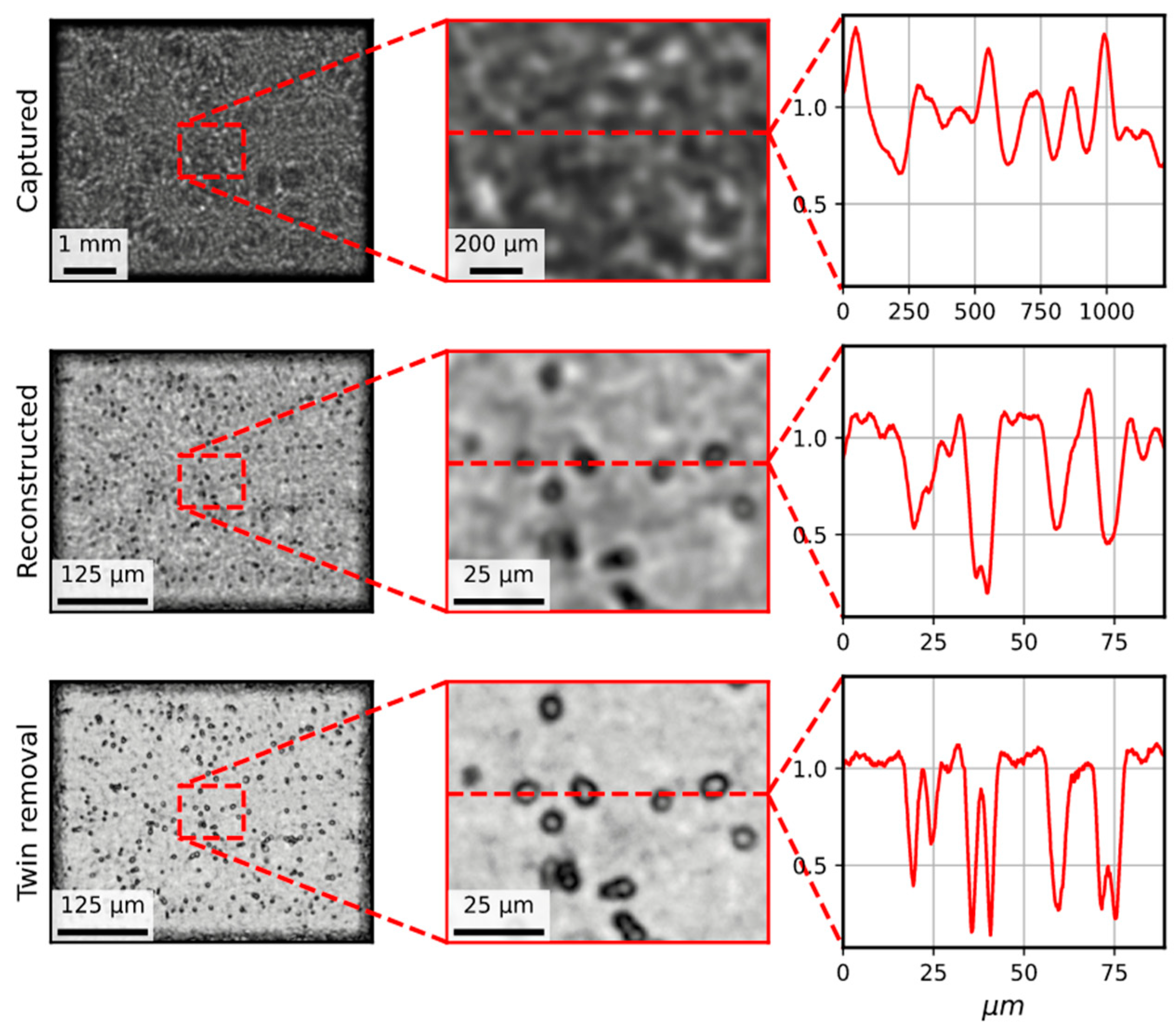 Biosensors 15 00040 g006