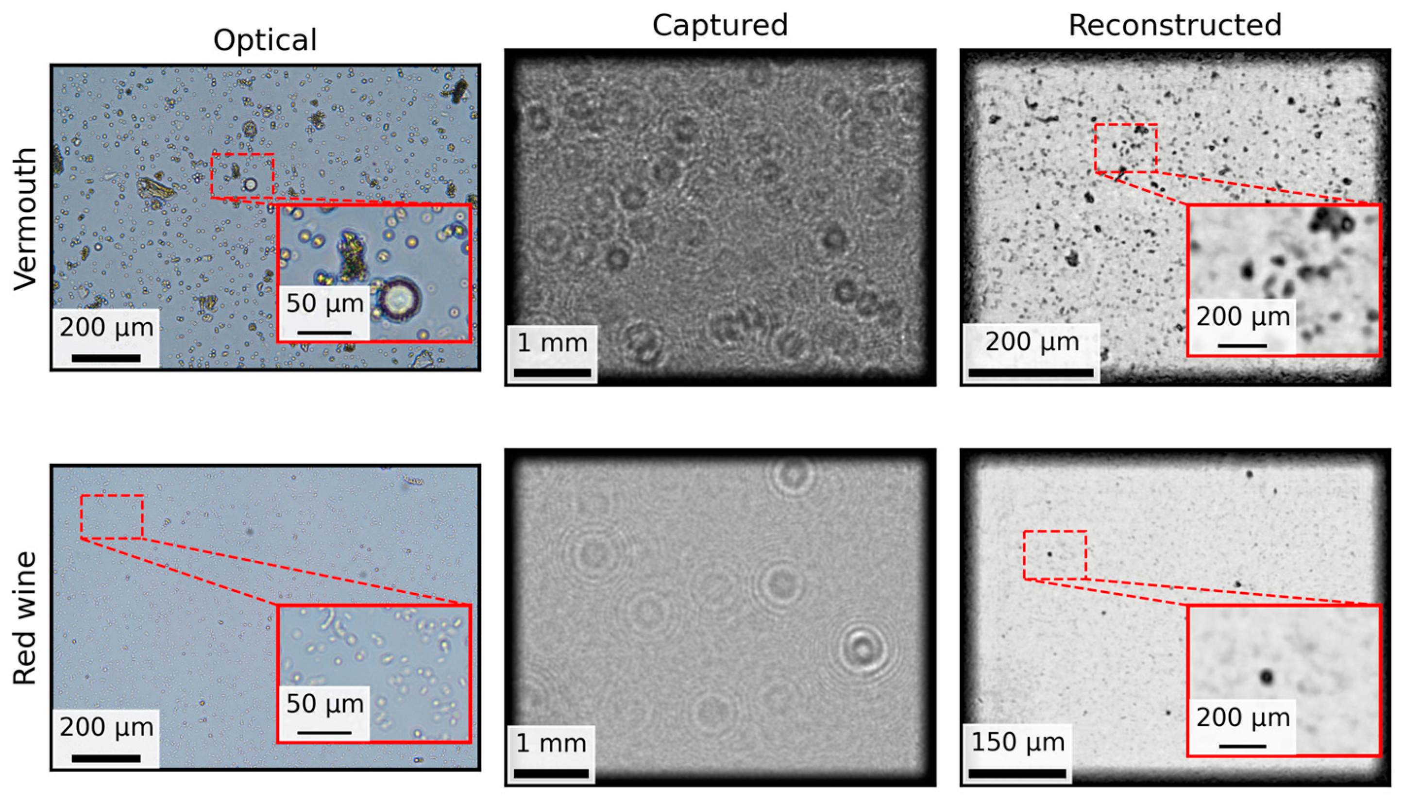 Biosensors 15 00040 g008
