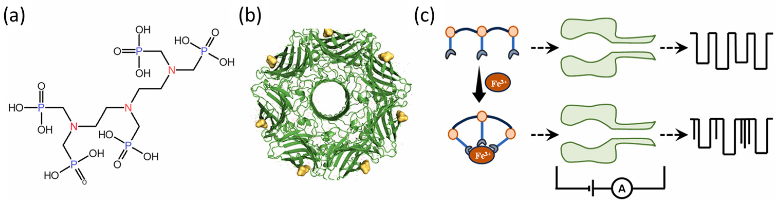 Biosensors 15 00041 g001 Biosensors 15 00041 g001