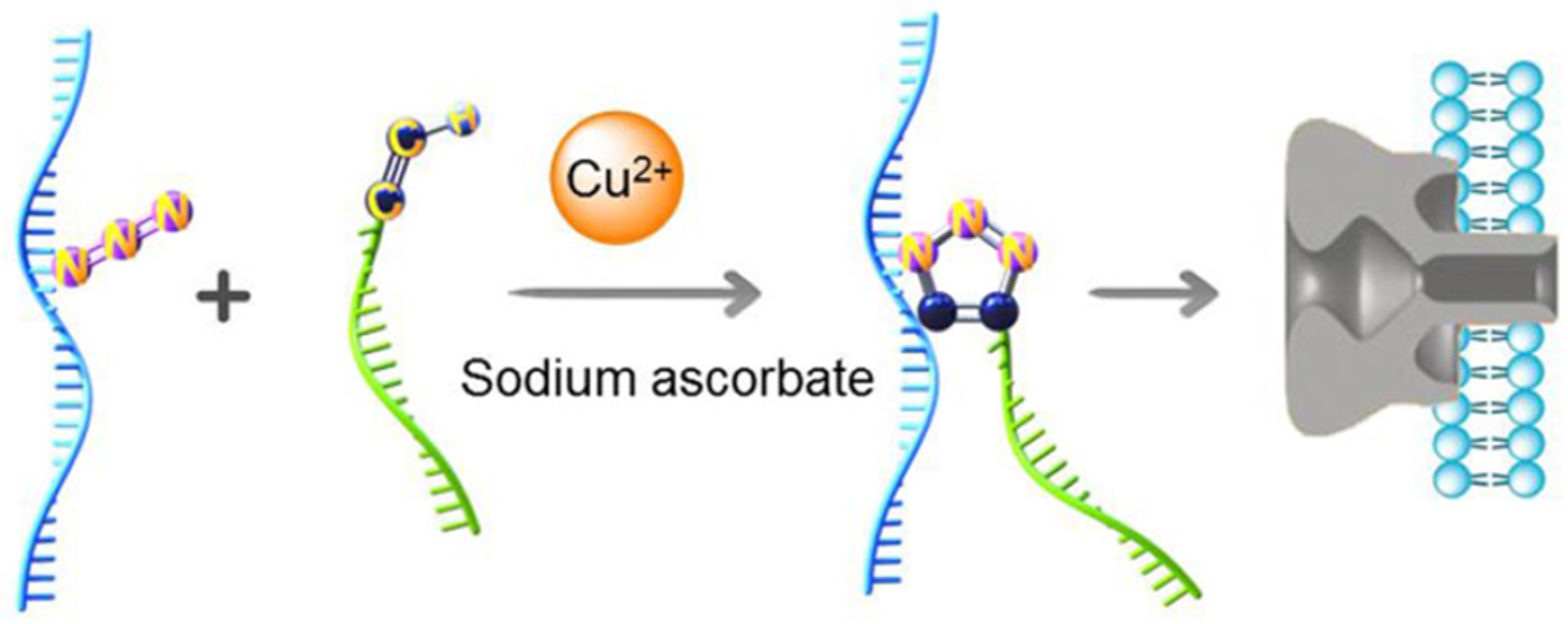 Biosensors 15 00041 g002 Biosensors 15 00041 g002