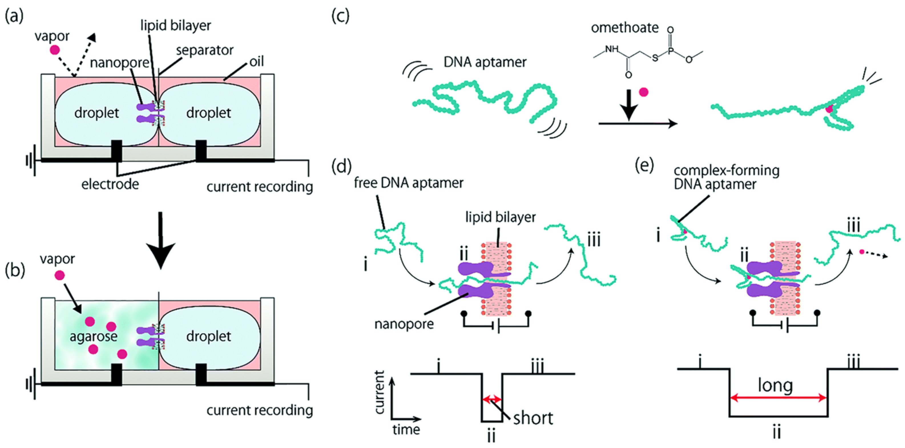 Biosensors 15 00041 g005 Biosensors 15 00041 g005