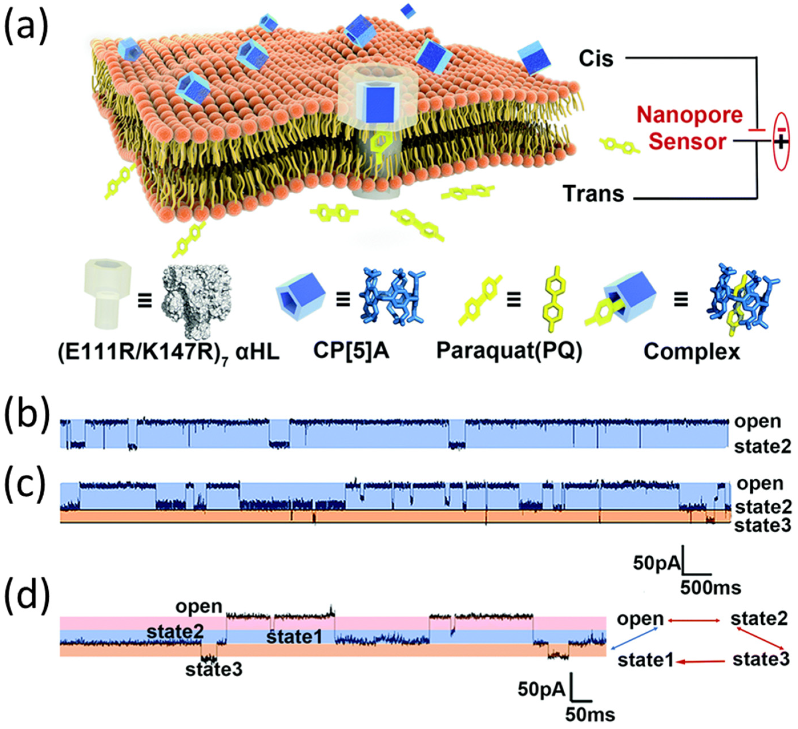 Biosensors 15 00041 g006 Biosensors 15 00041 g006