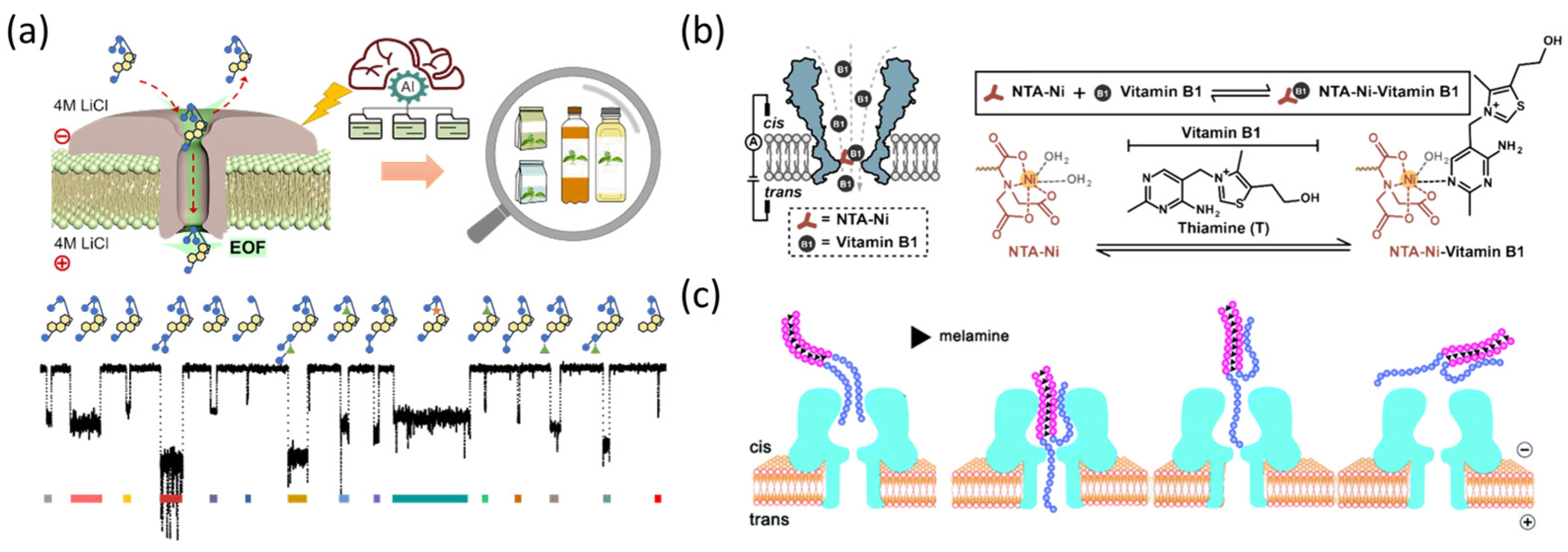 Biosensors 15 00041 g008 Biosensors 15 00041 g008
