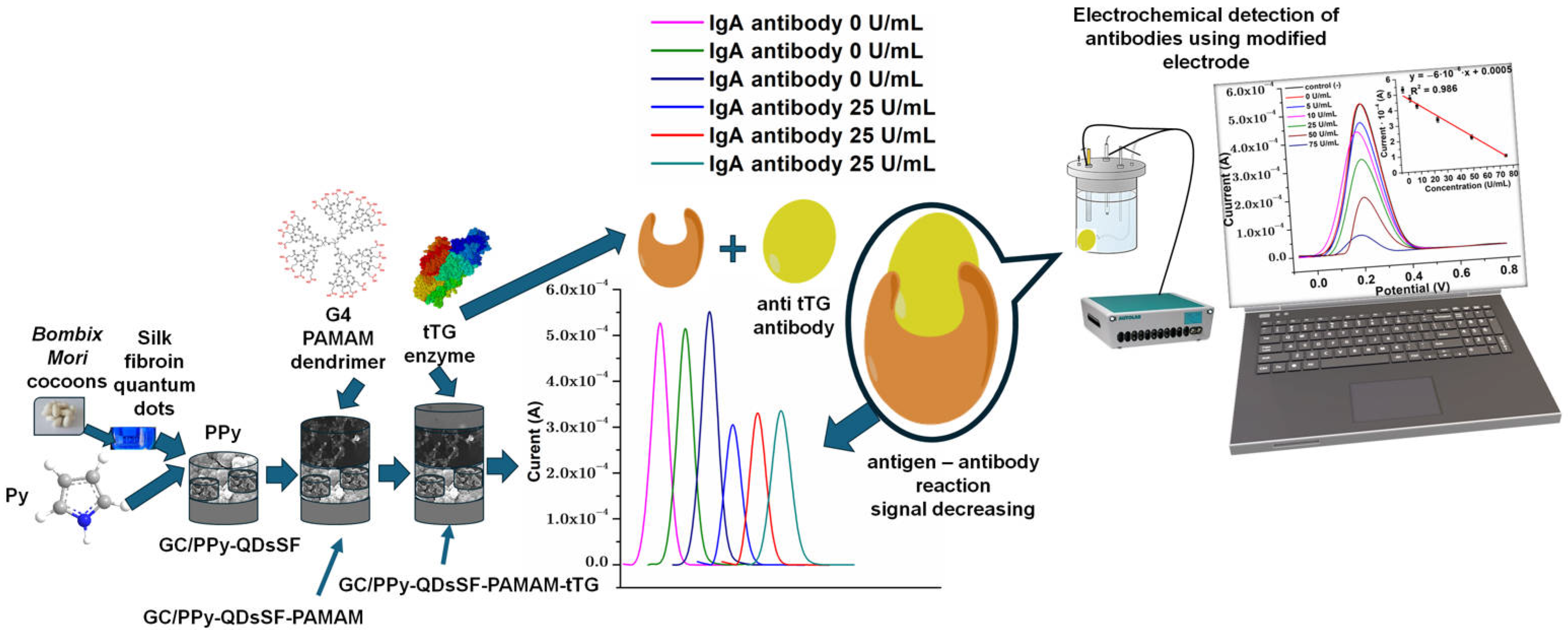 Biosensors 15 00042 g007 Biosensors 15 00042 g007