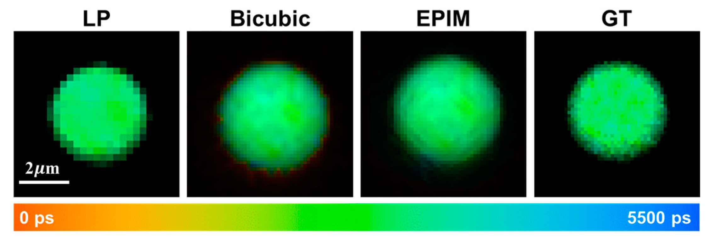 Biosensors 15 00043 g002 Biosensors 15 00043 g002