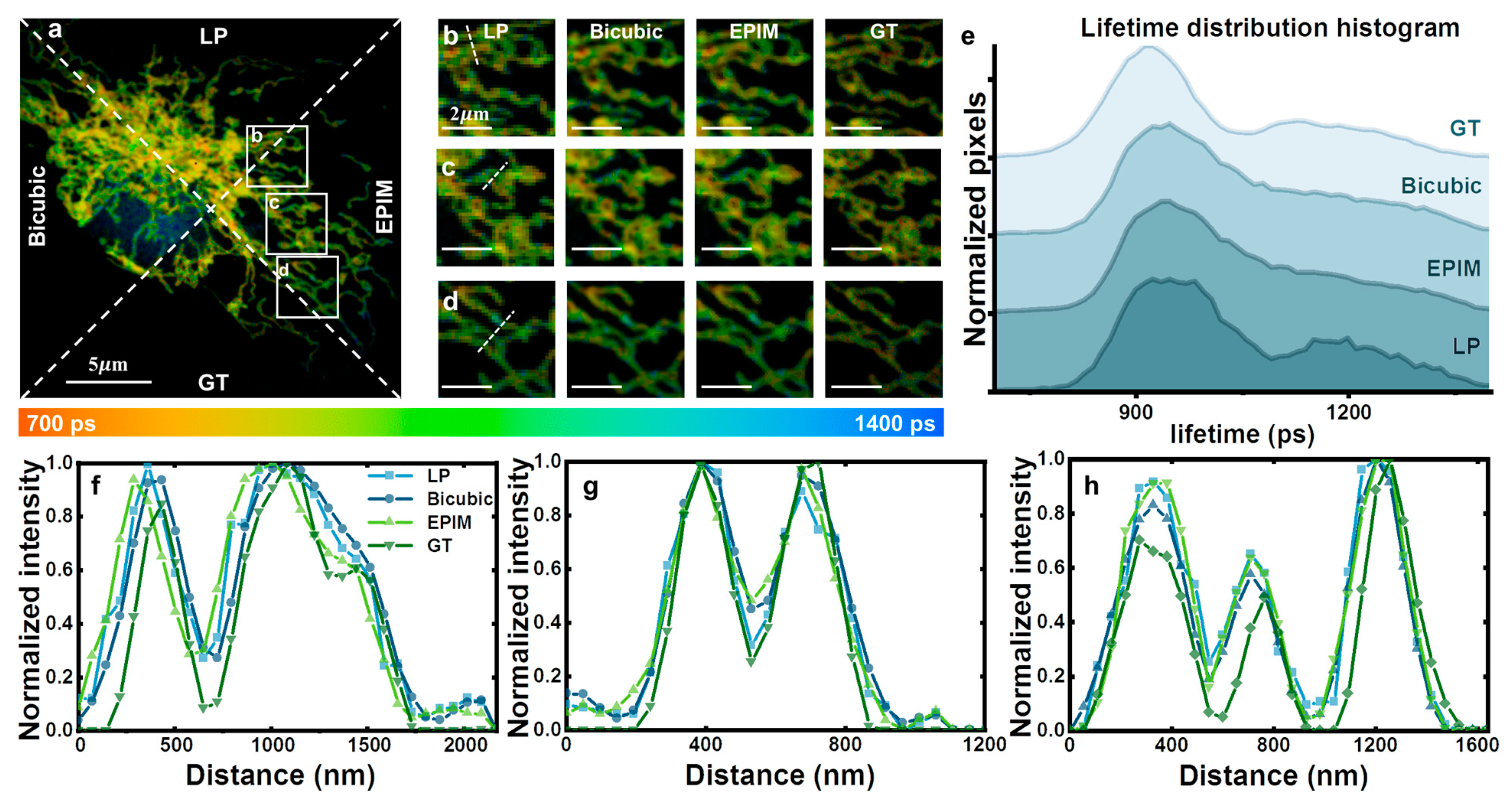 Biosensors 15 00043 g003 Biosensors 15 00043 g003