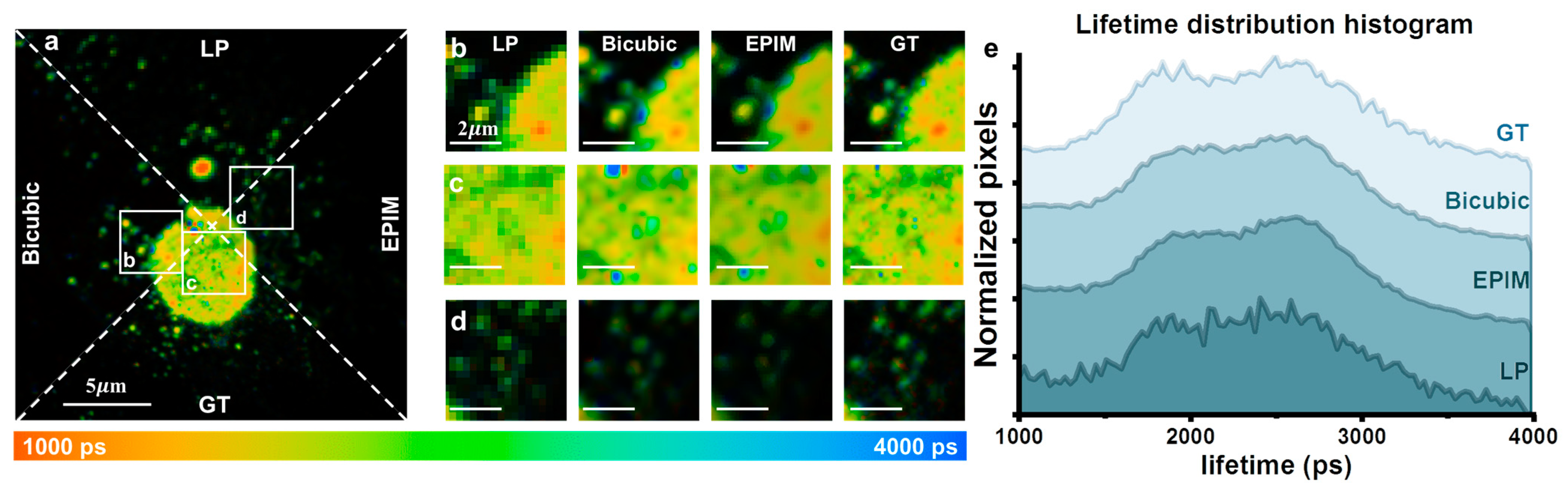 Biosensors 15 00043 g004 Biosensors 15 00043 g004