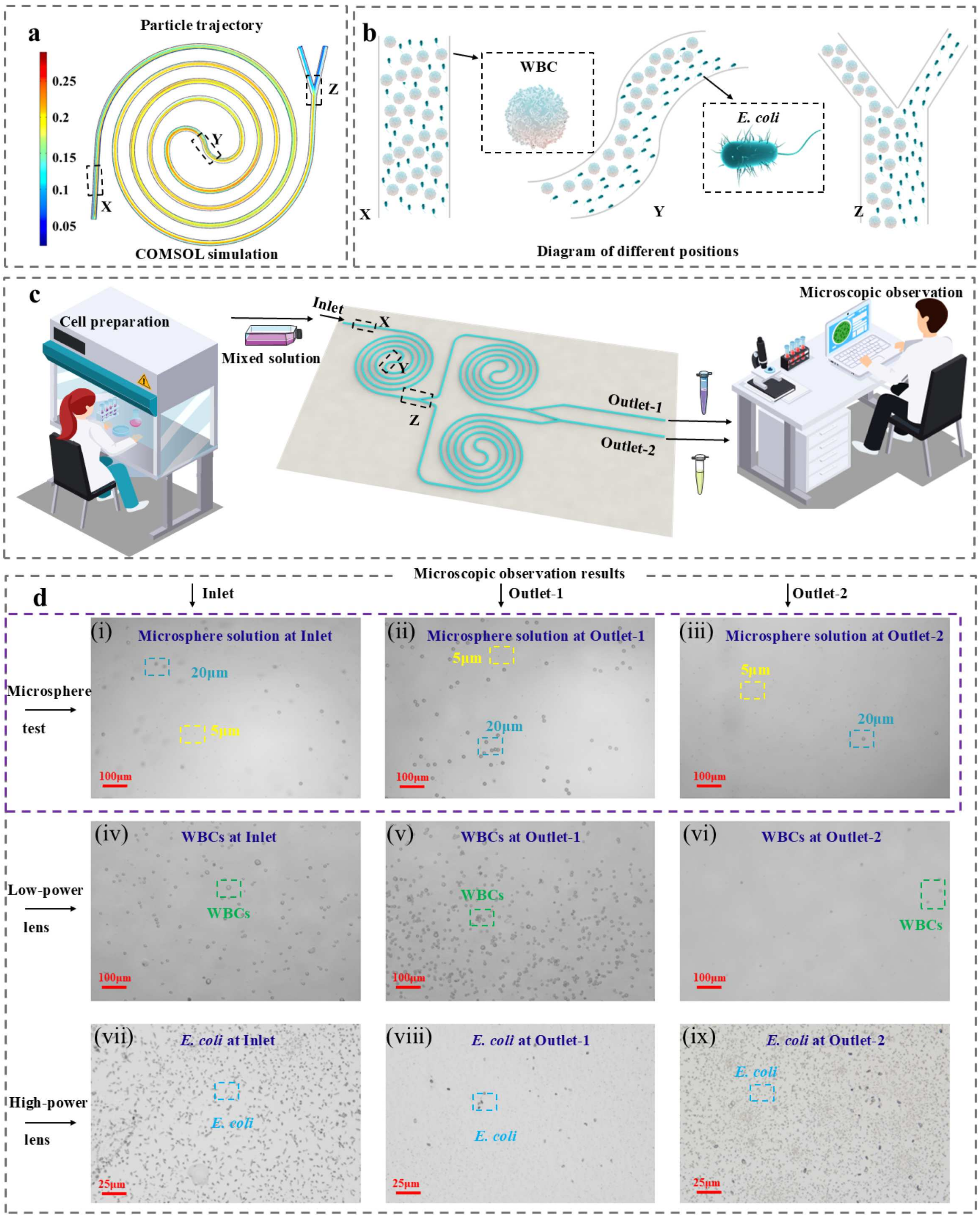 Biosensors 15 00045 g002